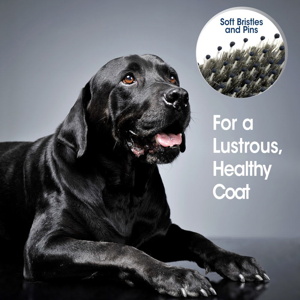 Cepillo Profesional Flexible con Cerdas y Púas Magic Coat® Flex & Contour | Cepillo Suave para Perros y Gatos