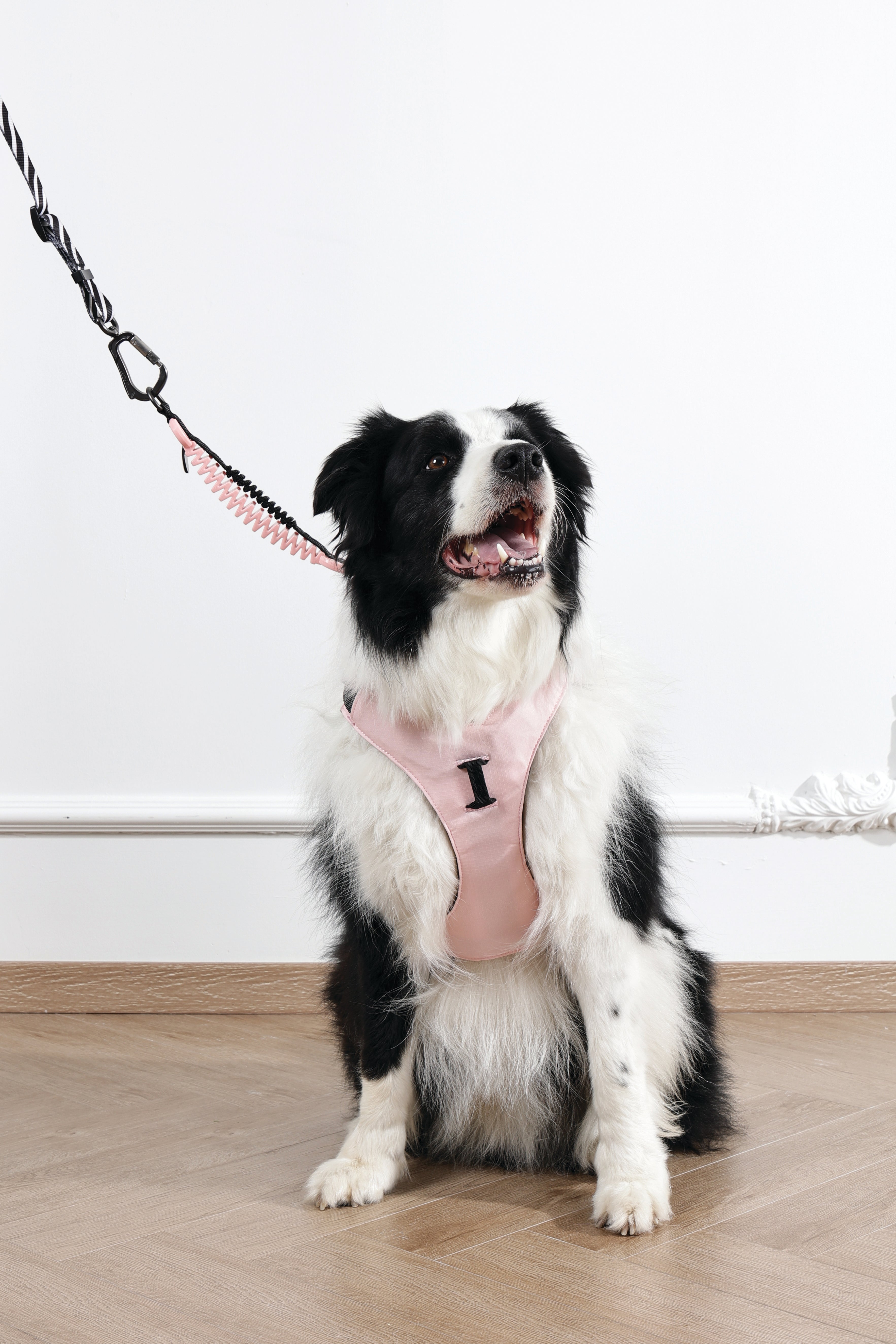 ORIGAMI Dog Harness cherry fold