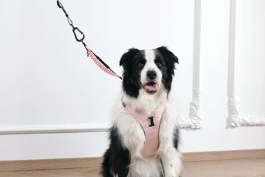 ORIGAMI Dog Harness cherry fold