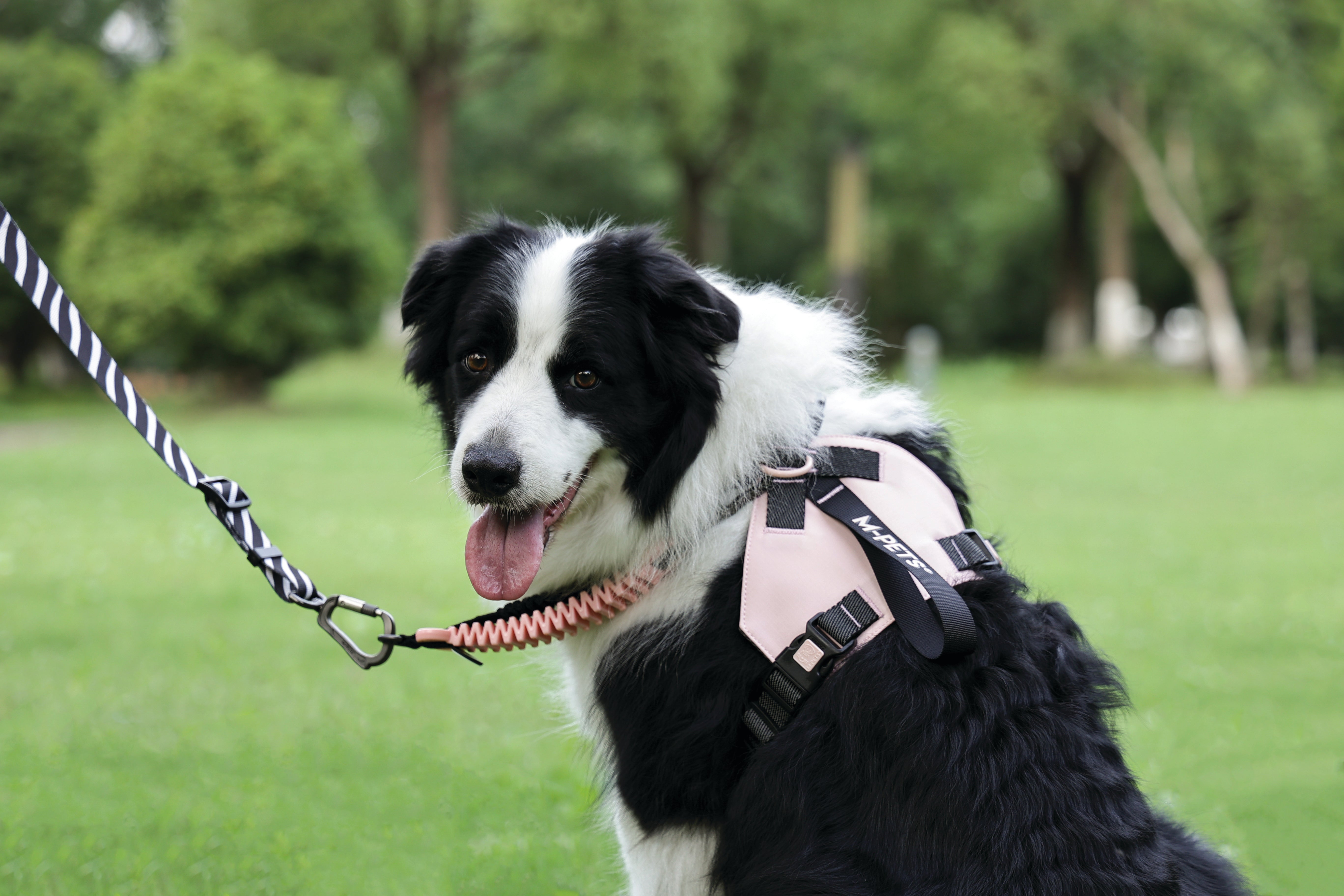 ORIGAMI Dog Harness cherry fold