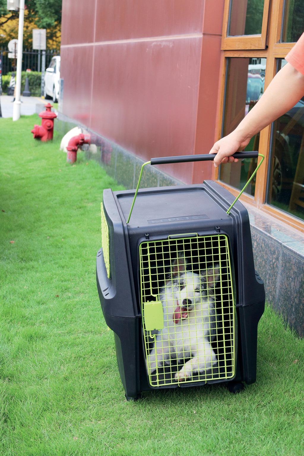 Transportadora PREMIUM ECO TREK para Perros - Negra con Rejillas Metálicas (Black & Green) | M-PETS