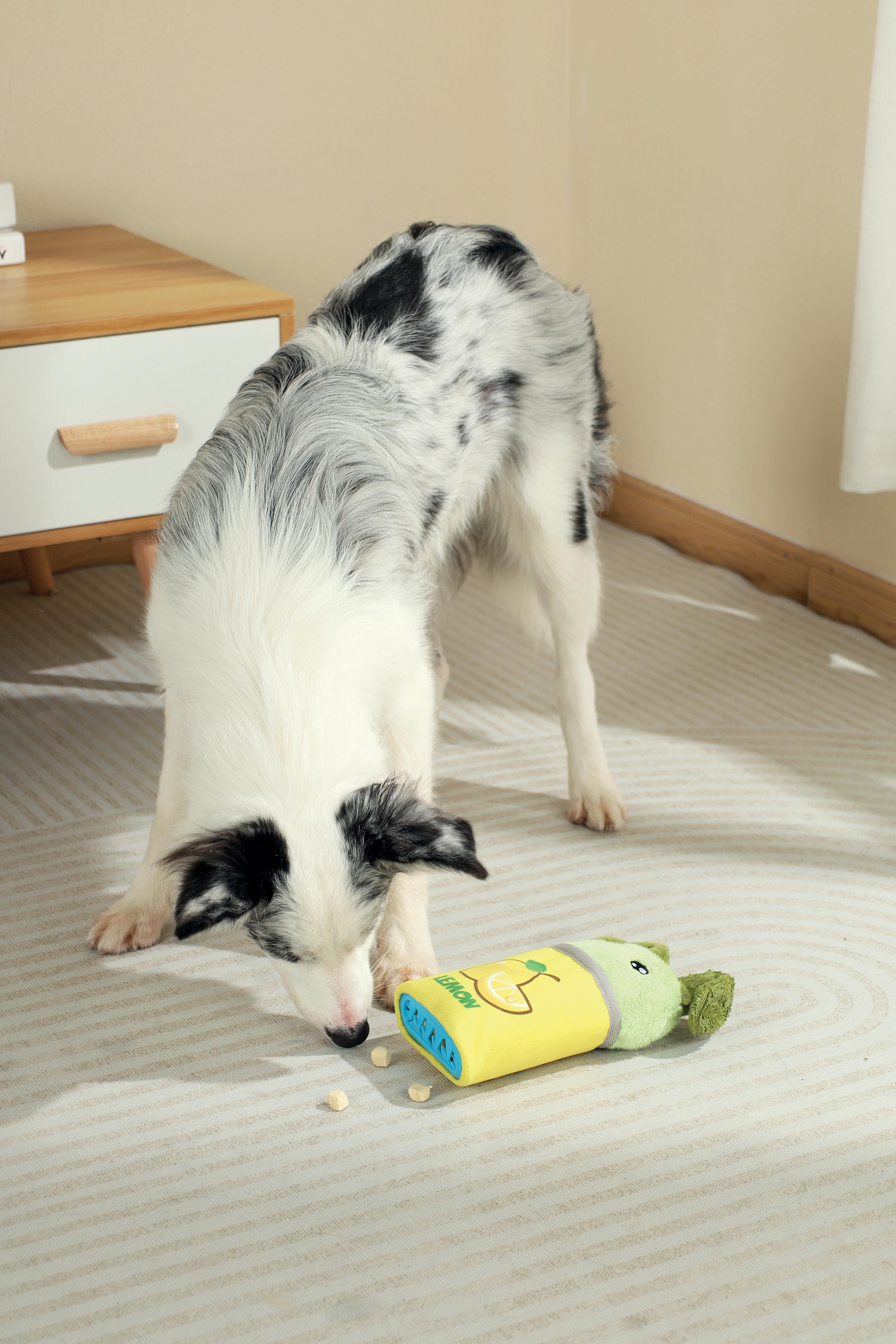 Snack Attack food dispenser dog toy - TREVOR