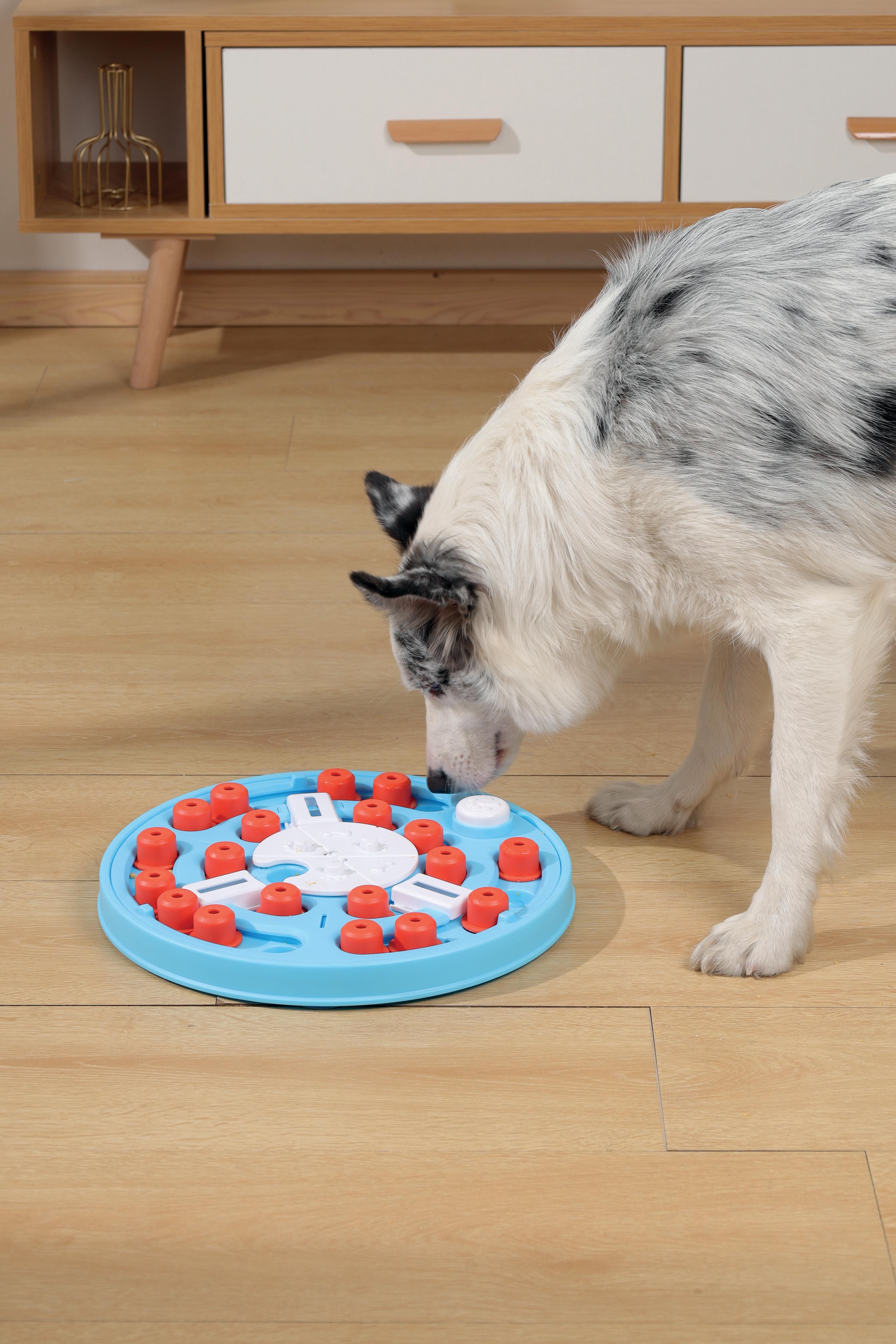 Rompecabezas BRAINY GAMES DA VINCI - L3 Difficult para Perro | M-PETS®