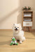 Juguete TERRA ECO ELLA para Cachorro – 99% Materiales Reciclados | M-PETS®