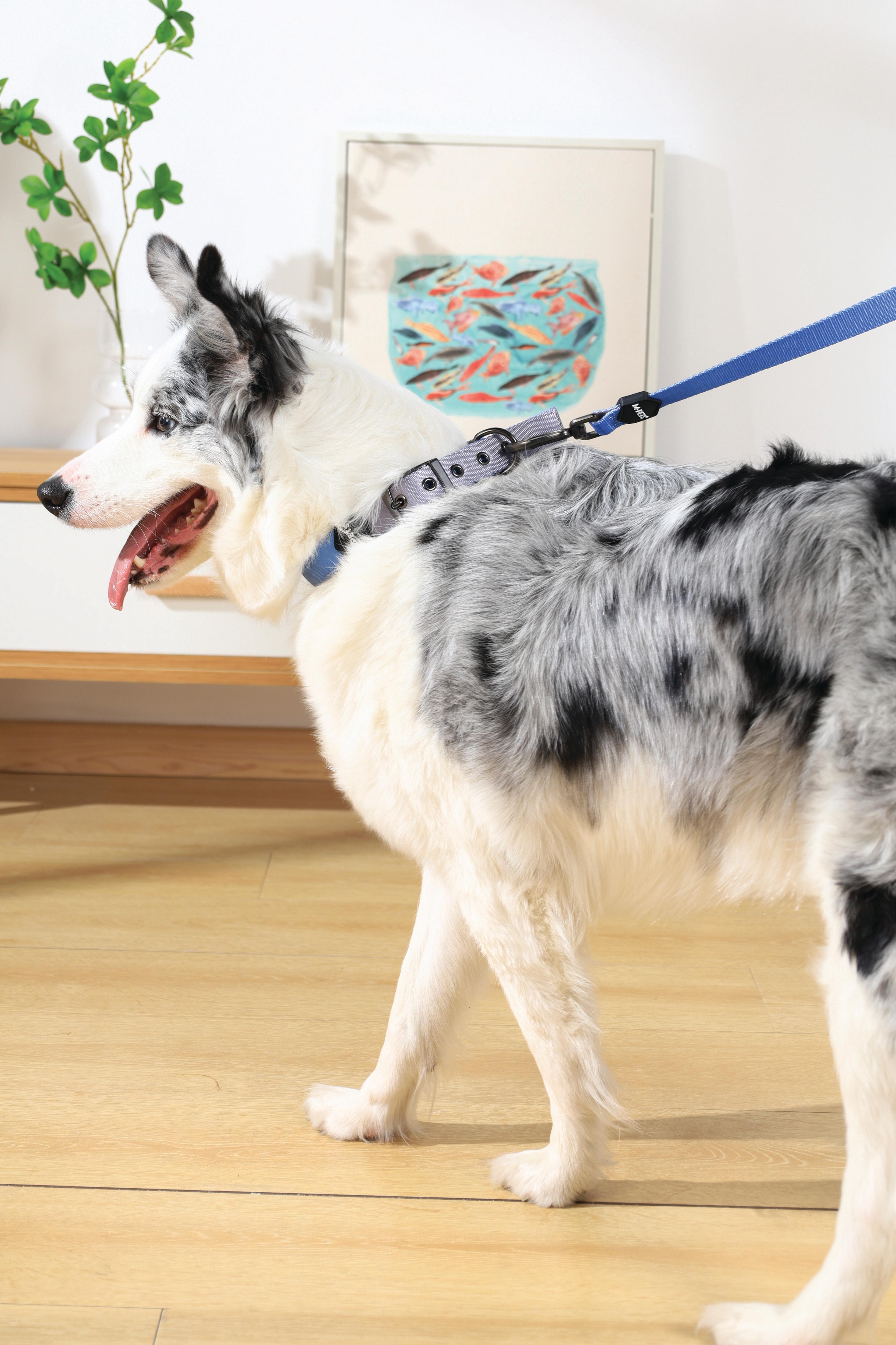 GENTLE DOG Leash Blue