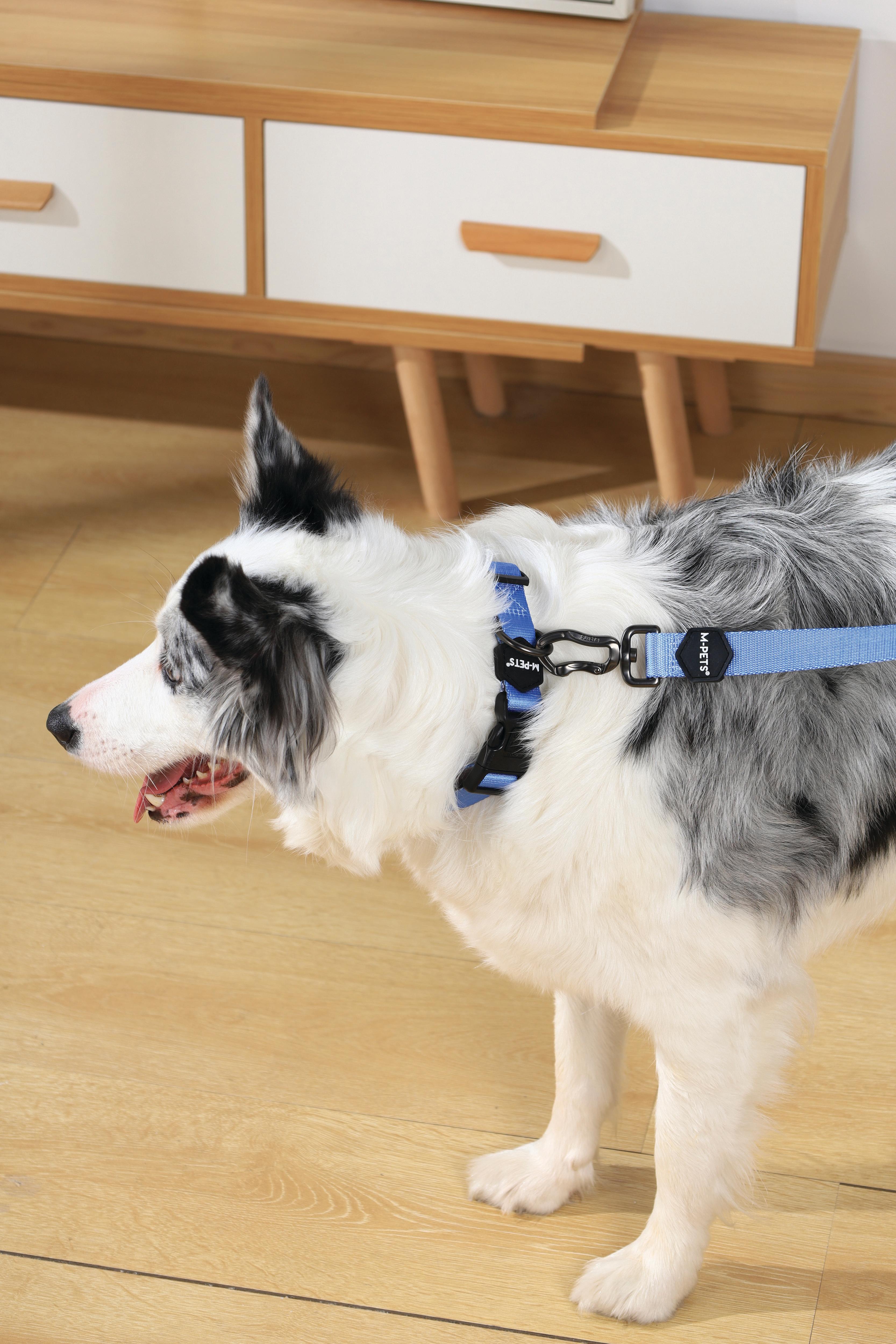 GENTLE DOG Leash Blue