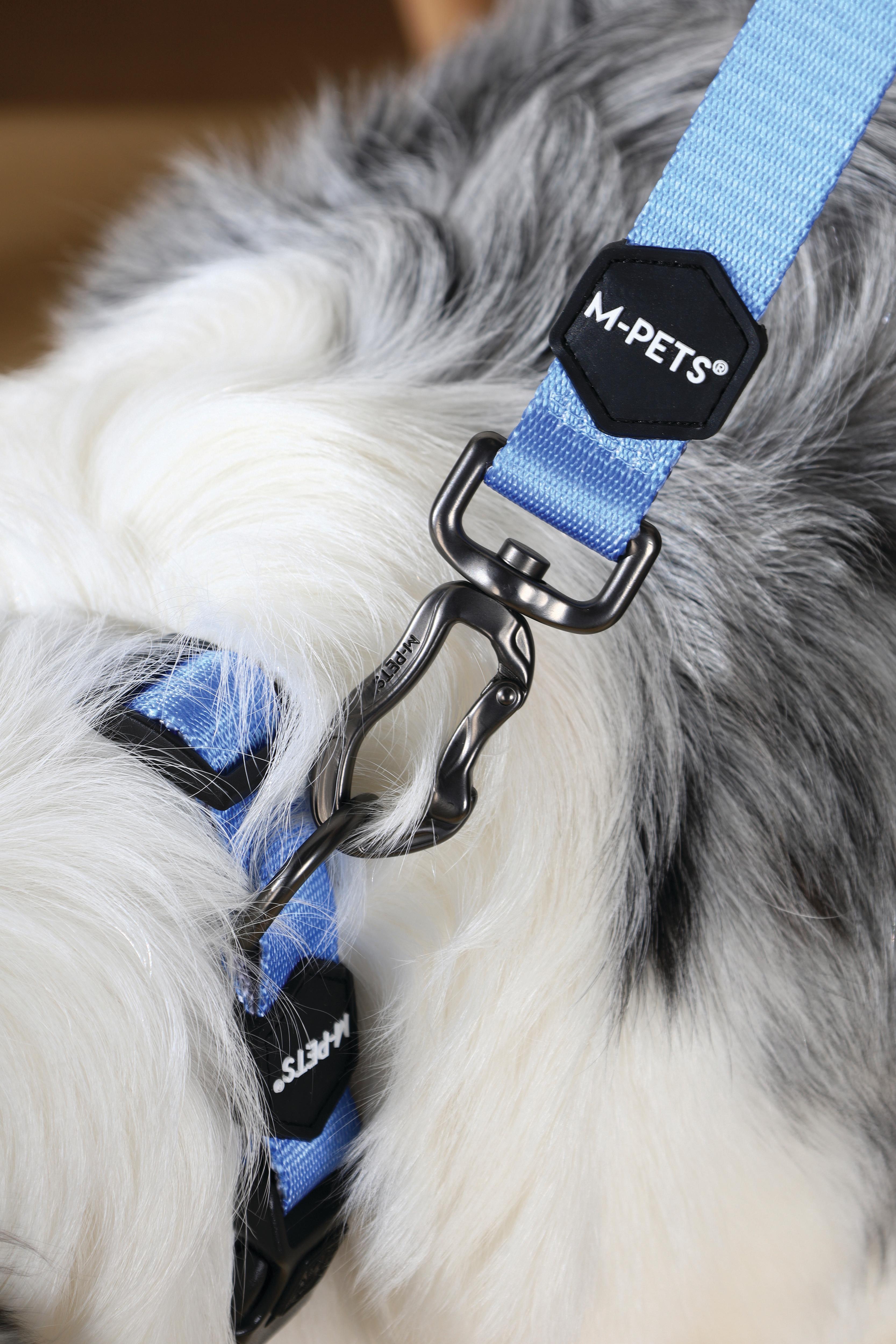 Collar GENTLE DOG Blue para Perro – Premium con Hebilla de Seguridad | M-PETS®