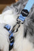 Collar GENTLE DOG Blue para Perro – Premium con Hebilla de Seguridad | M-PETS®