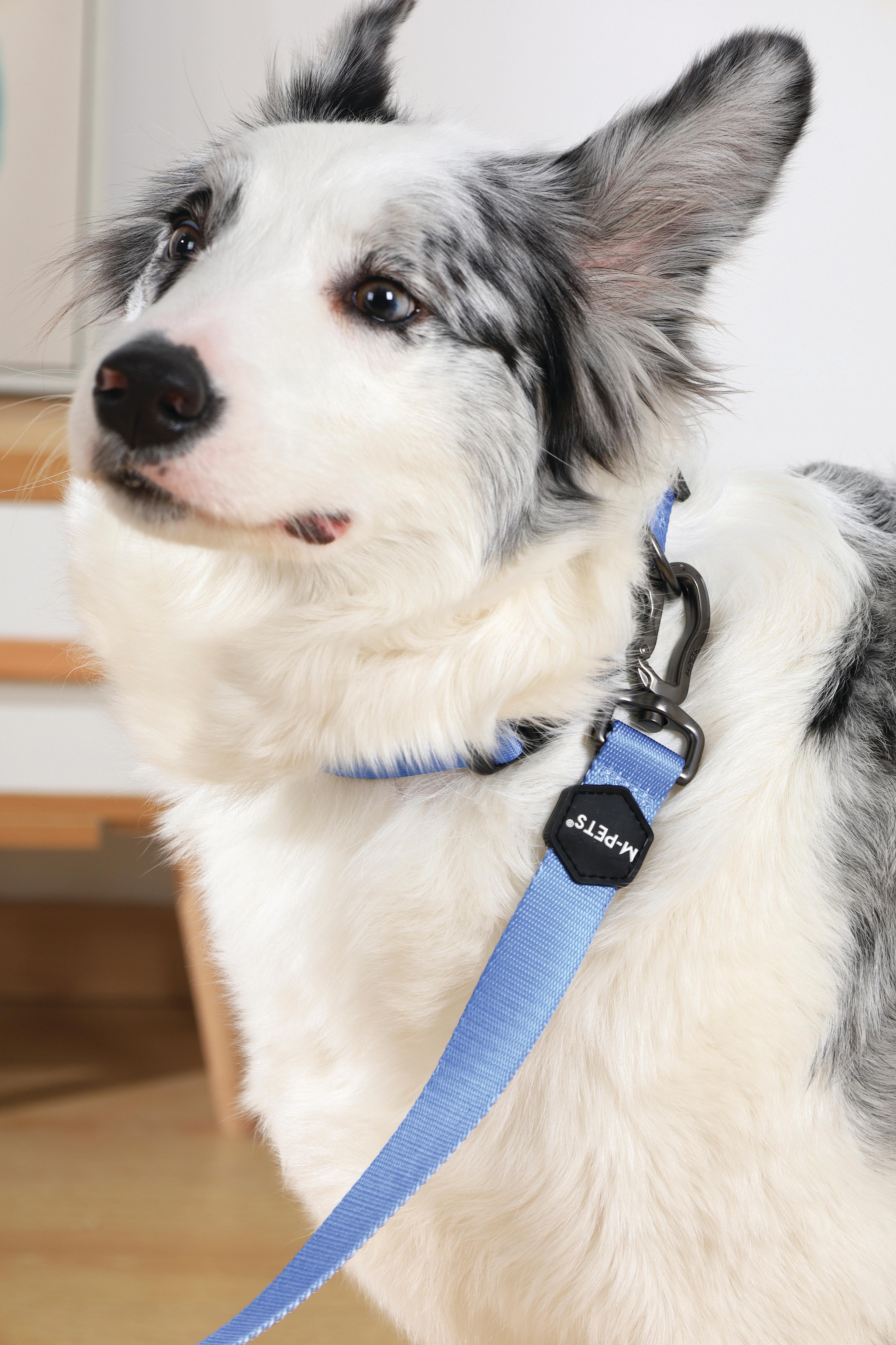 Collar GENTLE DOG Blue para Perro – Premium con Hebilla de Seguridad | M-PETS®