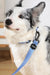 Collar GENTLE DOG Blue para Perro – Premium con Hebilla de Seguridad | M-PETS®