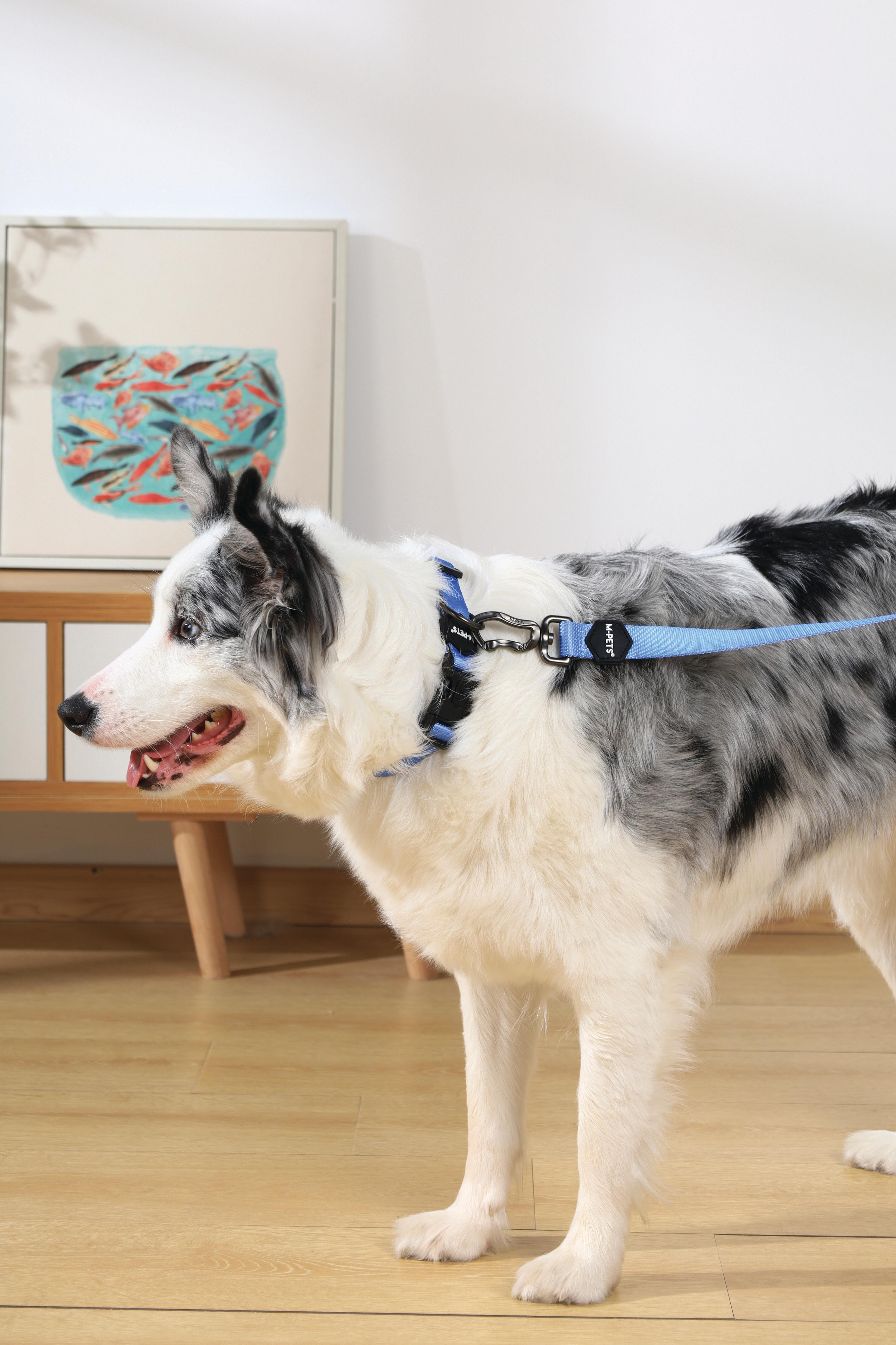 Collar GENTLE DOG Blue para Perro – Premium con Hebilla de Seguridad | M-PETS®
