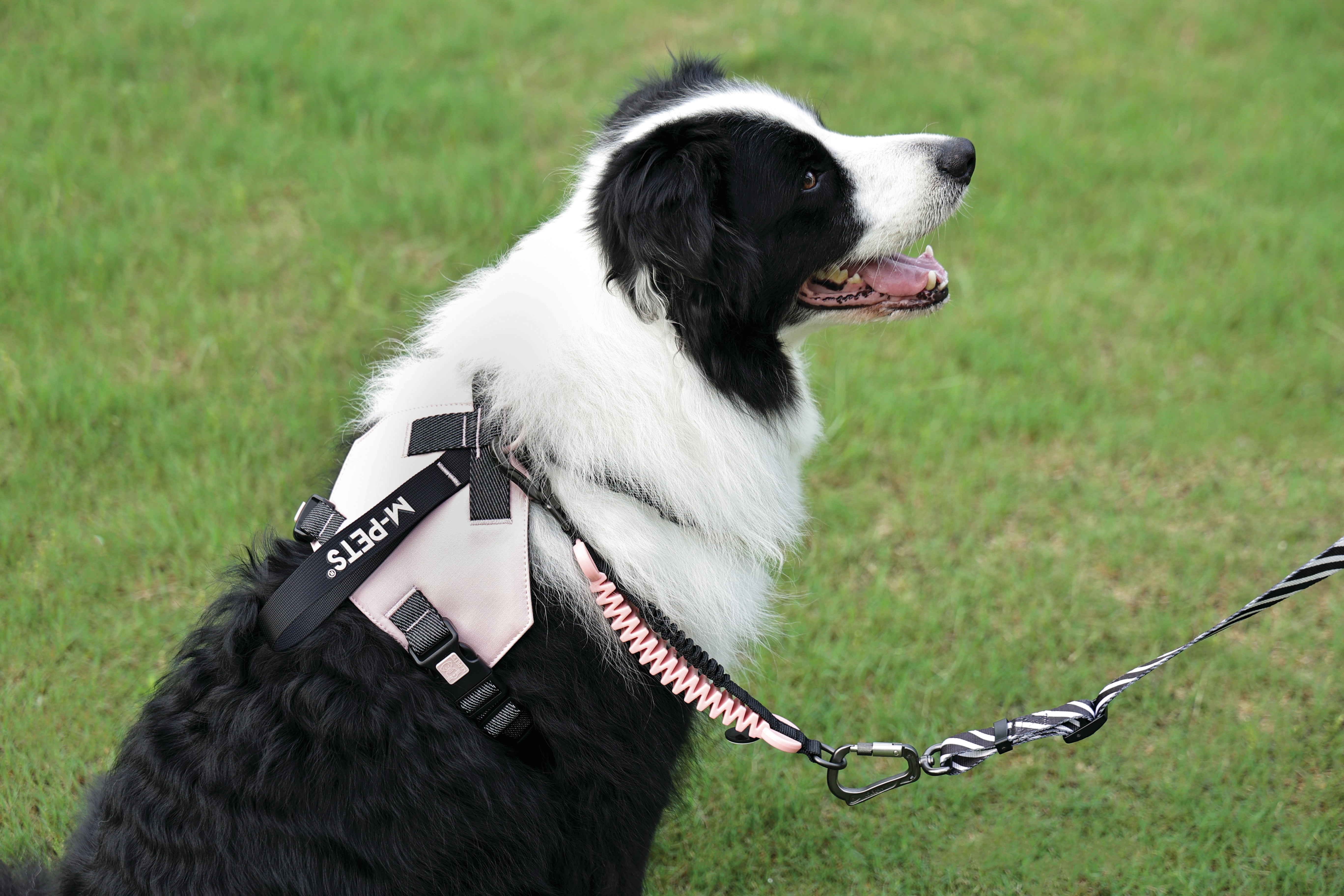 ORIGAMI Dog Harness cherry fold