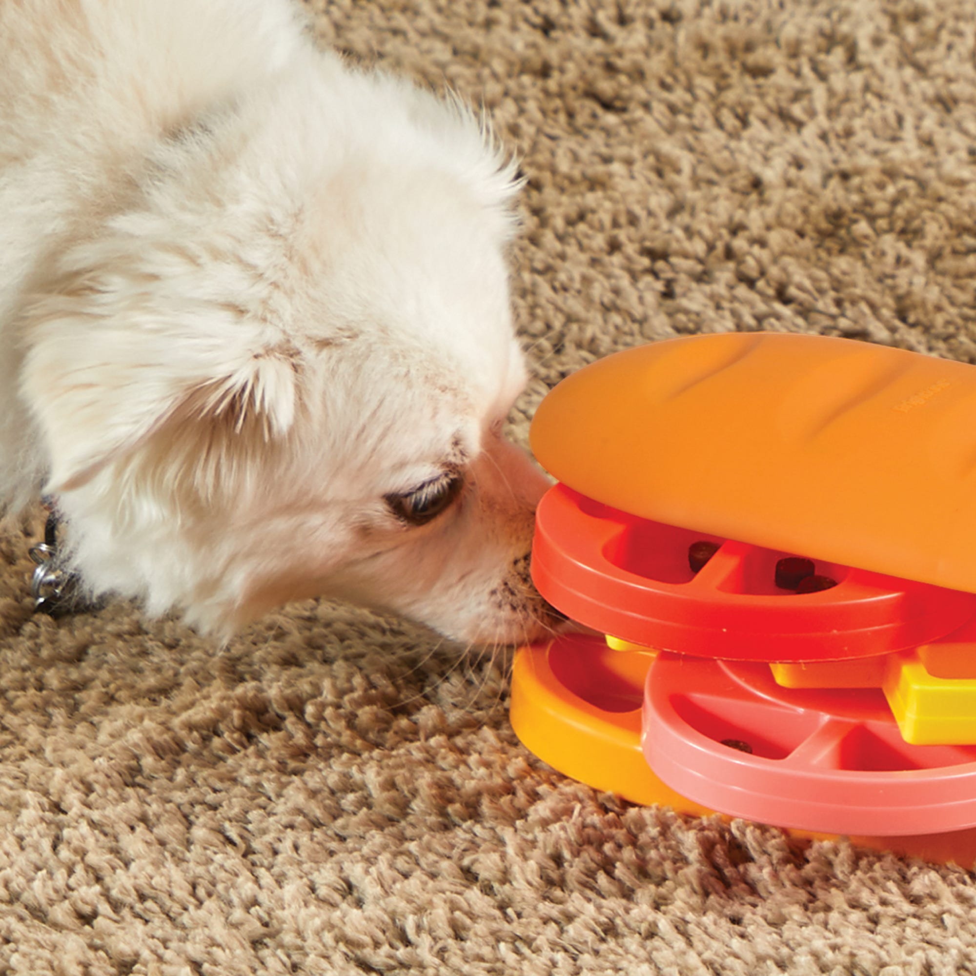 Juguete Rompecabezas para Perros Pupstrami Surprise | Brightkins