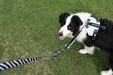 ORIGAMI Dog Harness leafy crease