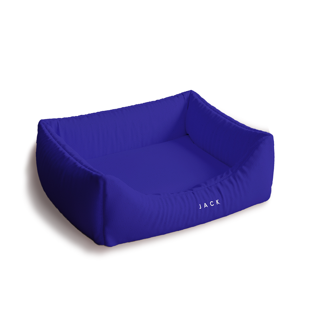 Cama Classic Chica Azul National Geographic