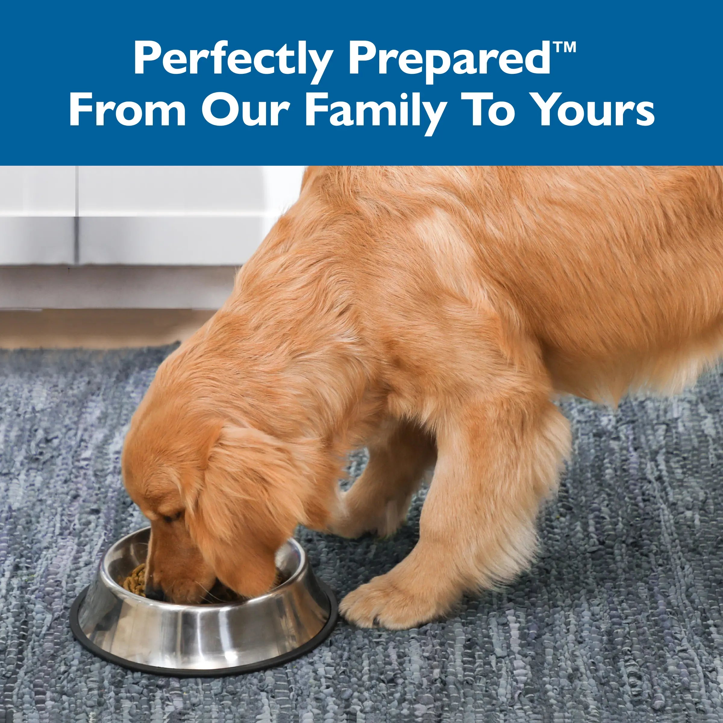 Alimento para Cachorros - Puppy Select Formula con Pollo Fresco | Bil-Jac