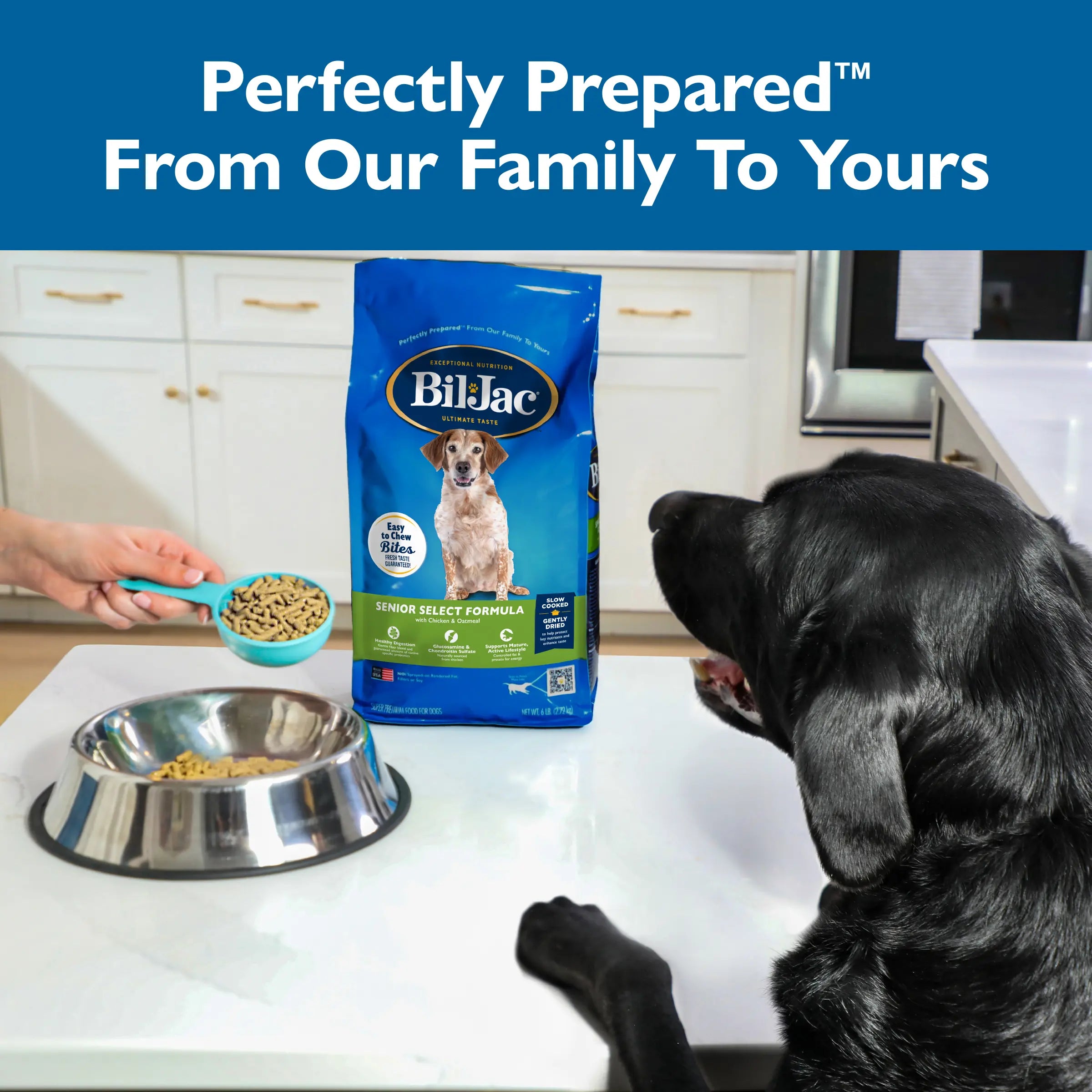 Alimento para Perros Senior Select Formula - Pollo y Avena | Bil-Jac