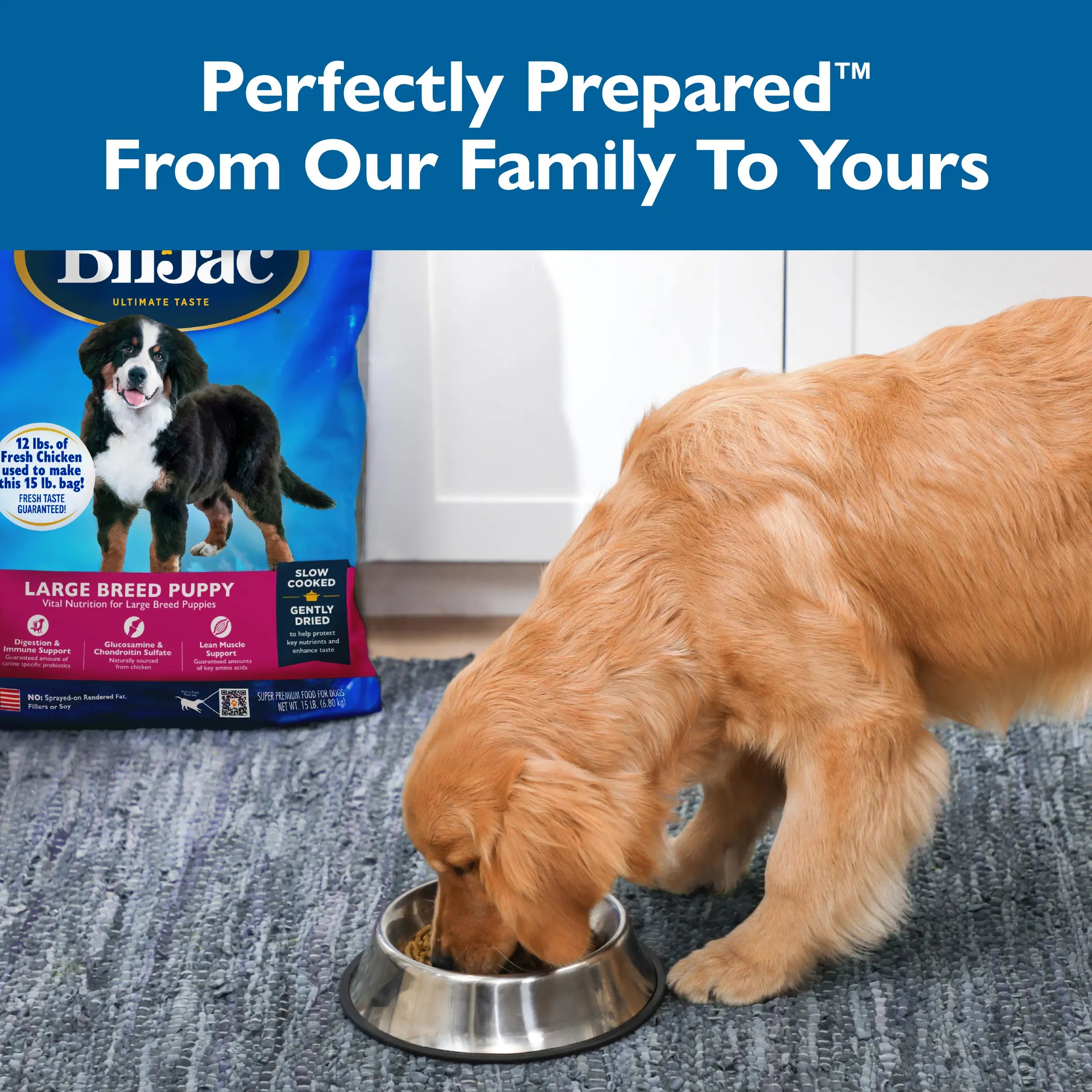 Alimento para Cachorros de Raza Grande - Pollo, Avena y Glucosamina | Bil-Jac