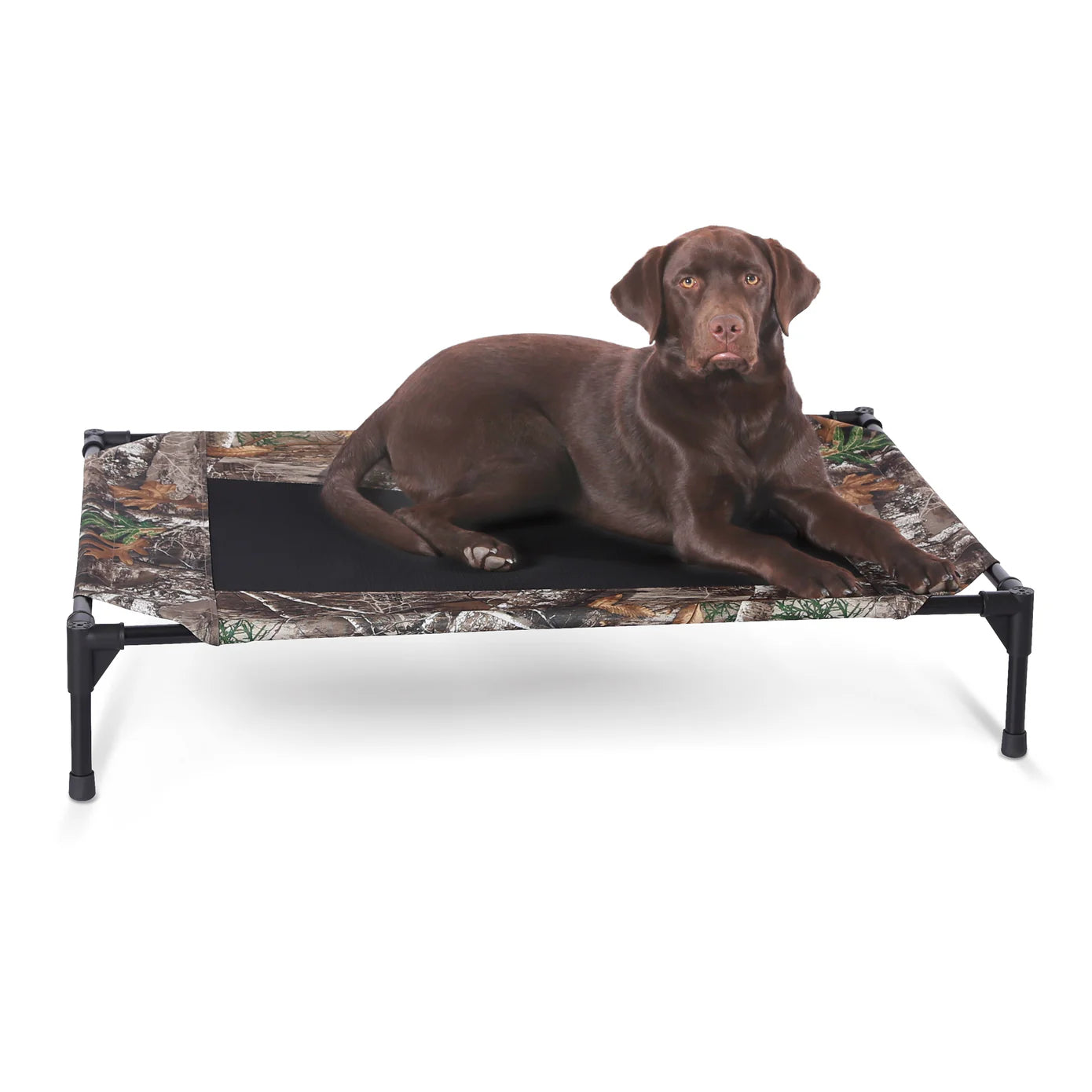 Cama Elevada para Perros Original Pet Cot - Colores y Tallas (Chica, Mediana, Grande, Extra Grande y Jumbo) | K&H