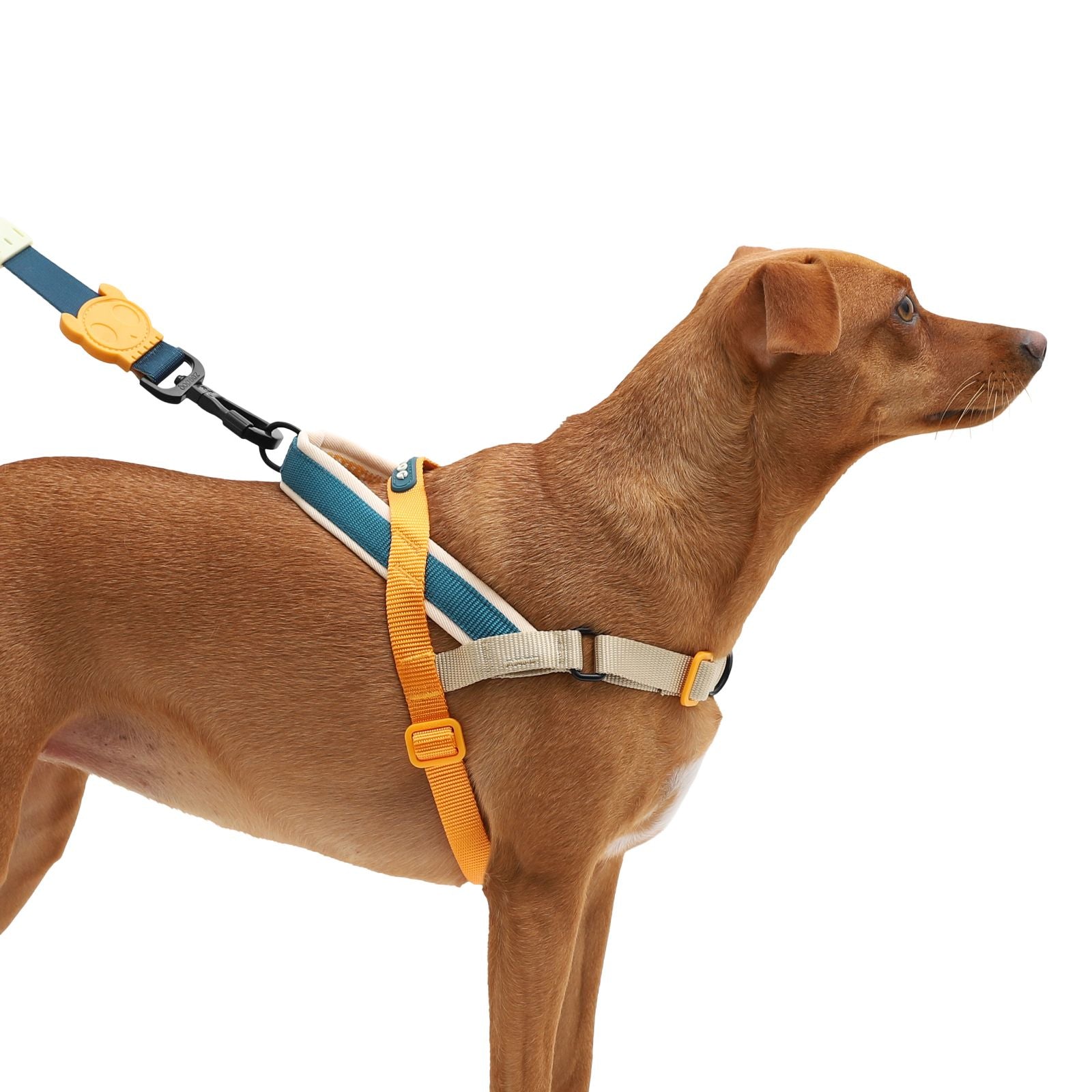 Arnés para Perros Voyage - Softer Walk Harness Zee.Dog