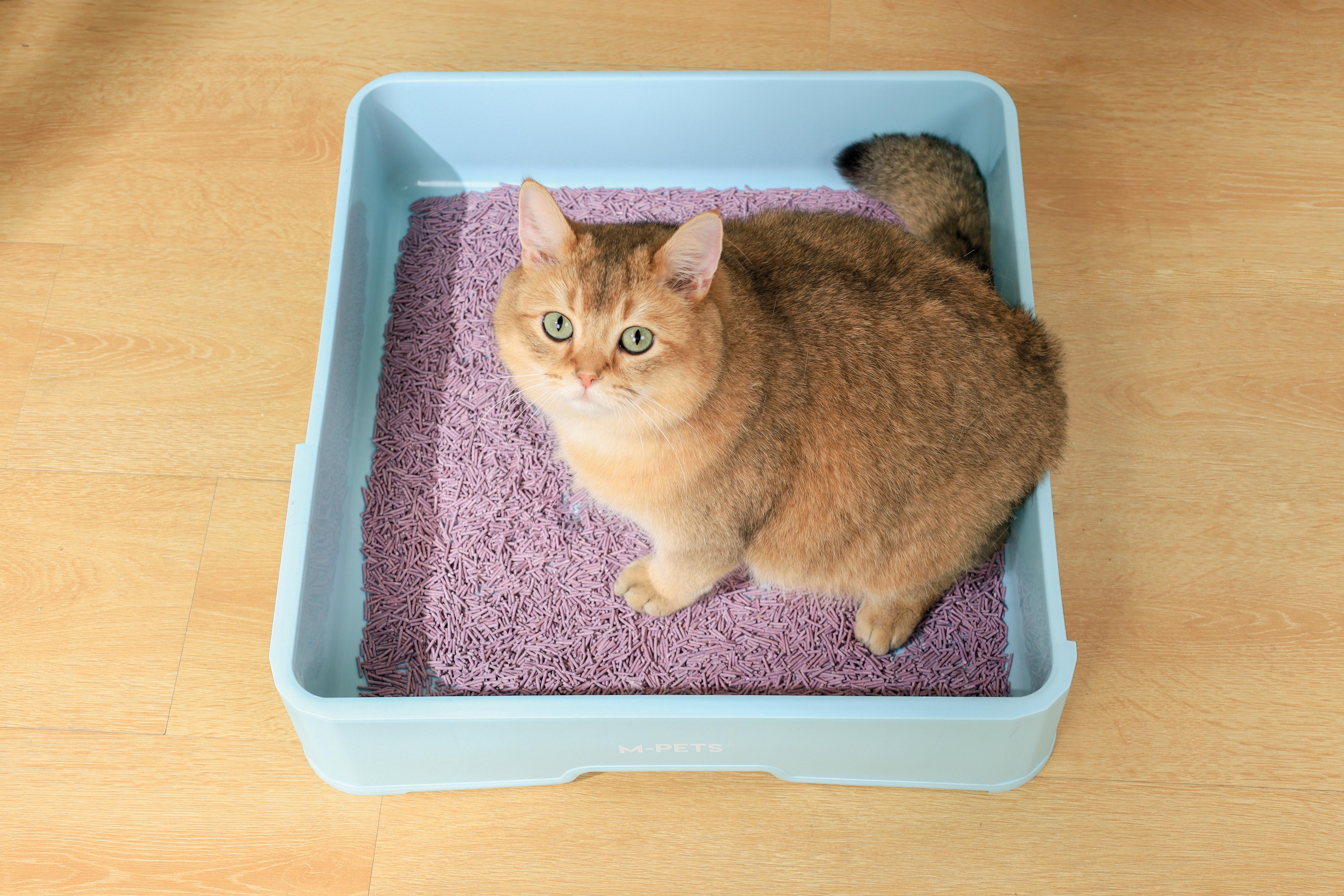SOYA Organic Cat Litter Lavander