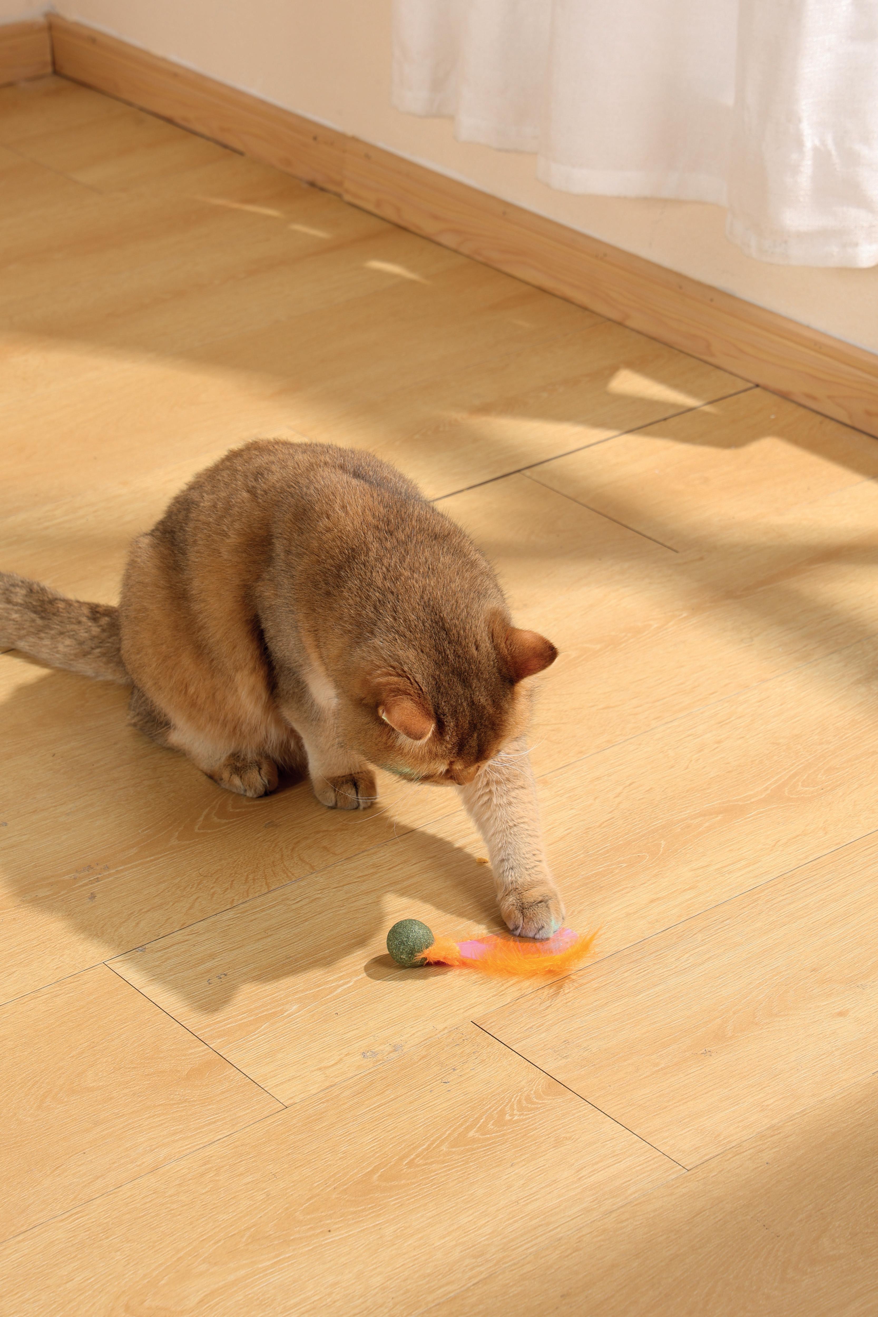 CHARMY Catnip Toy - FIREFLY Orange