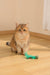 CHARMY Catnip Toy - BUGBEAR Green