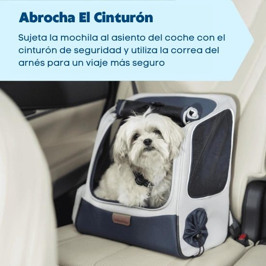 Mochila Para Perros Pequeños Mochila Perro Amazon Happy Ride