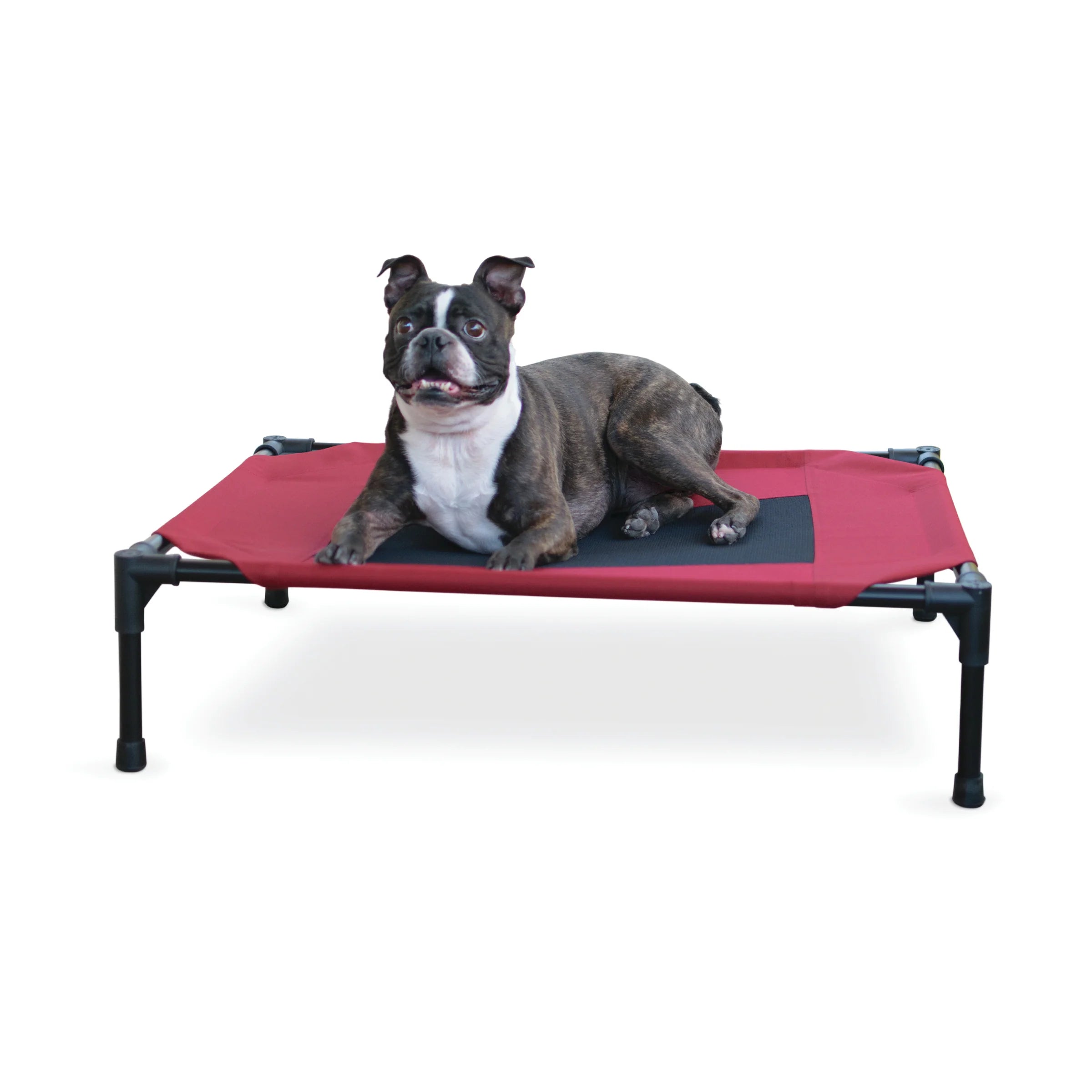 Cama Elevada para Perros Original Pet Cot - Colores y Tallas (Chica, Mediana, Grande, Extra Grande y Jumbo) | K&H