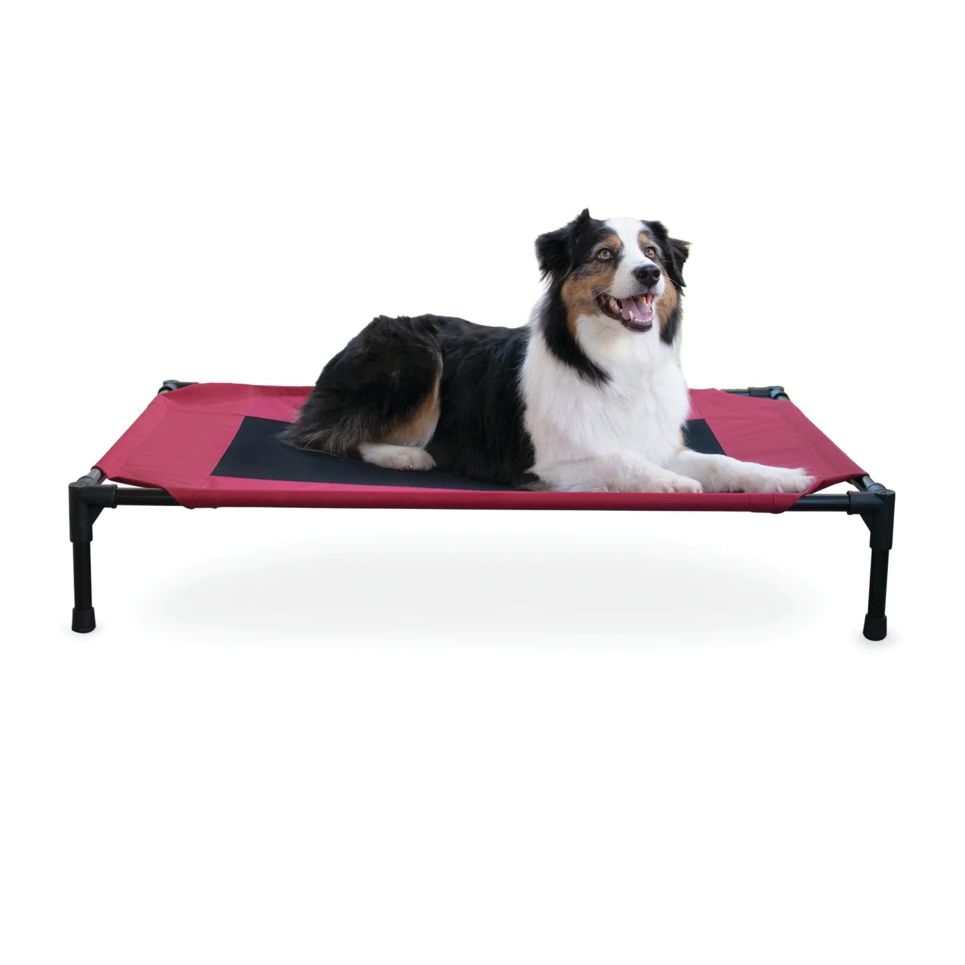 Cama Elevada para Perros Original Pet Cot - Colores y Tallas (Chica, Mediana, Grande, Extra Grande y Jumbo) | K&H