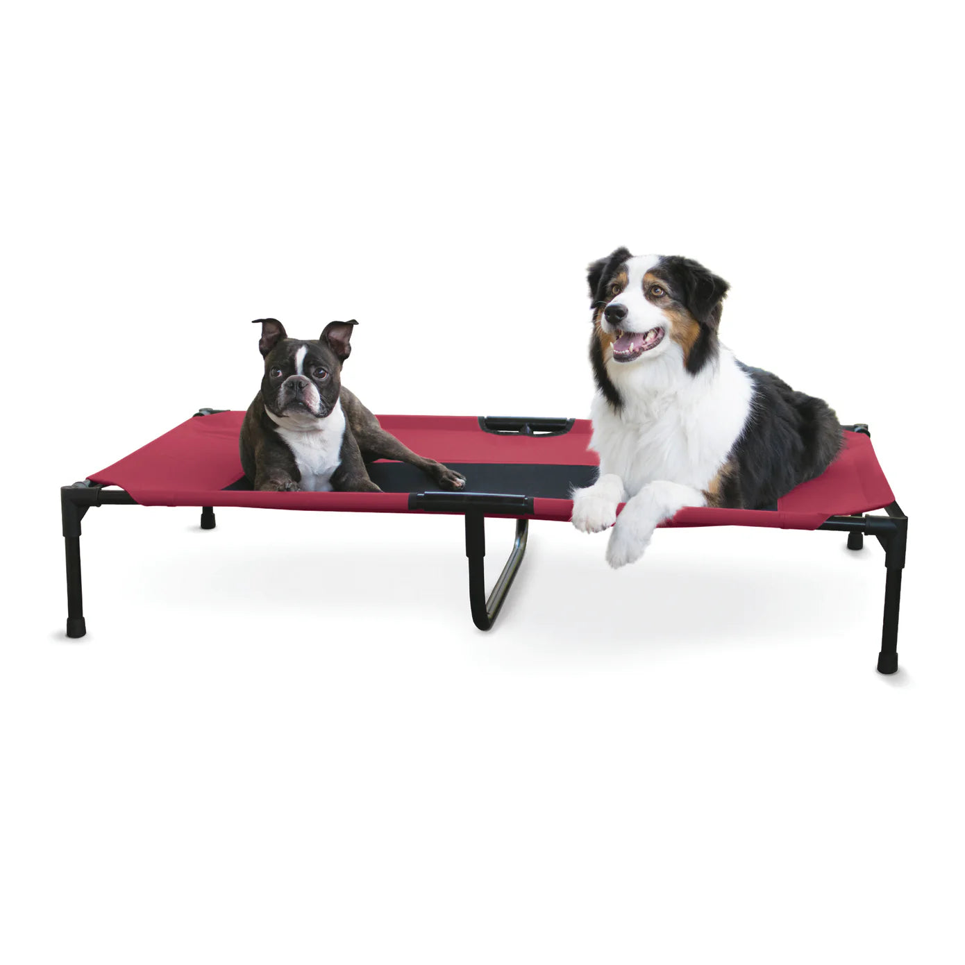 Cama Elevada para Perros Original Pet Cot - Colores y Tallas (Chica, Mediana, Grande, Extra Grande y Jumbo) | K&H