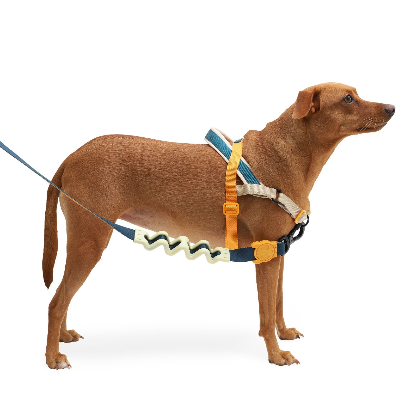 Arnés para Perros Voyage - Softer Walk Harness Zee.Dog