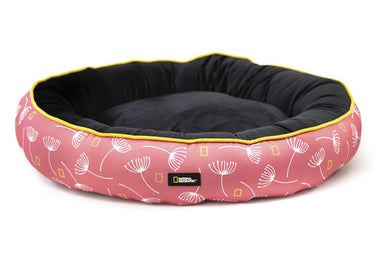Cama Apolo Extra Grande Tony National Geographic
