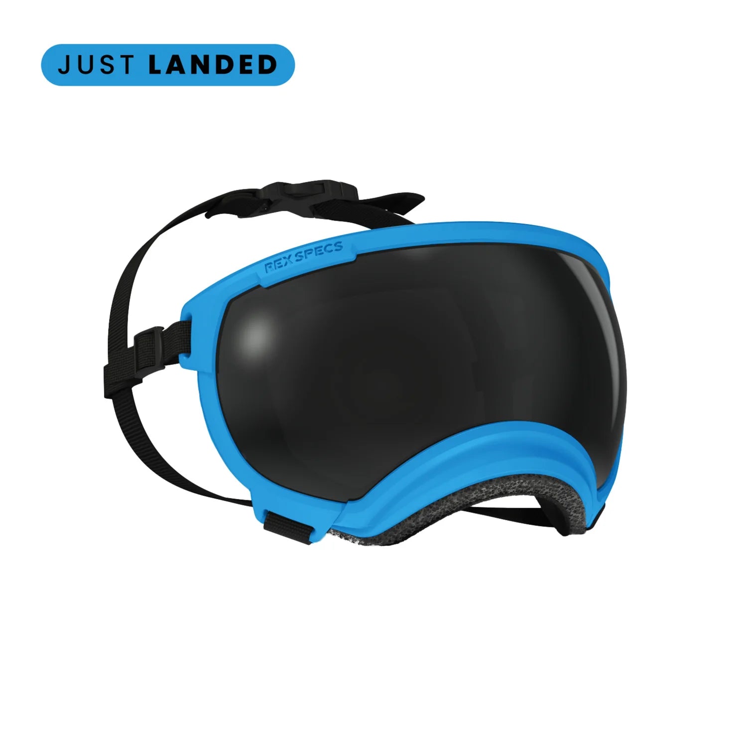 V2 Goggles Rex Specs - Lentes Para Perros Grandes de 18 a 38 kg