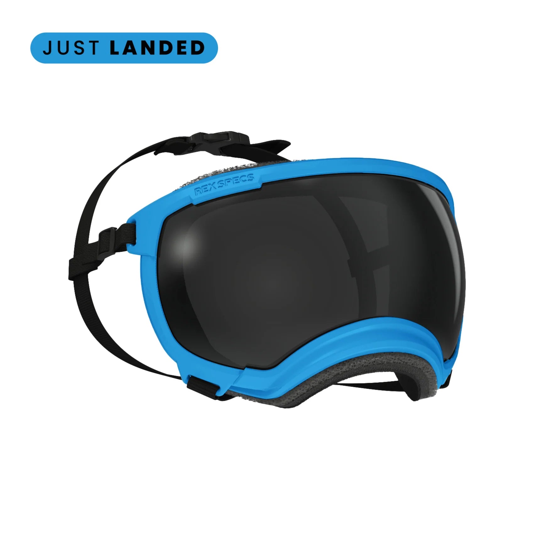 V2 Goggles Rex Specs - Lentes Para Perros Extra Grandes de 37 kg o más