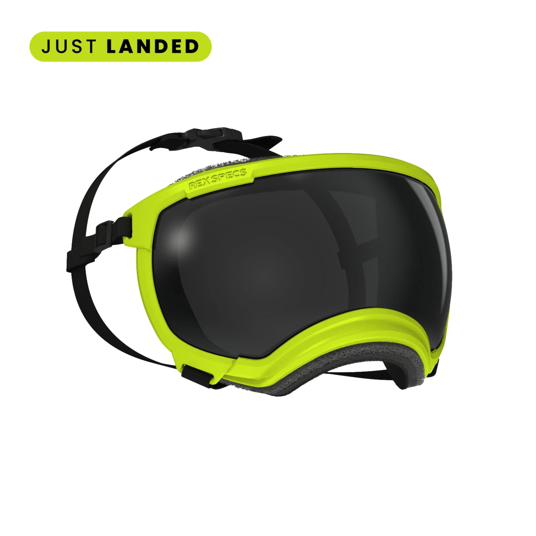 V2 Goggles Rex Specs - Lentes Para Perros Extra Grandes de 37 kg o más