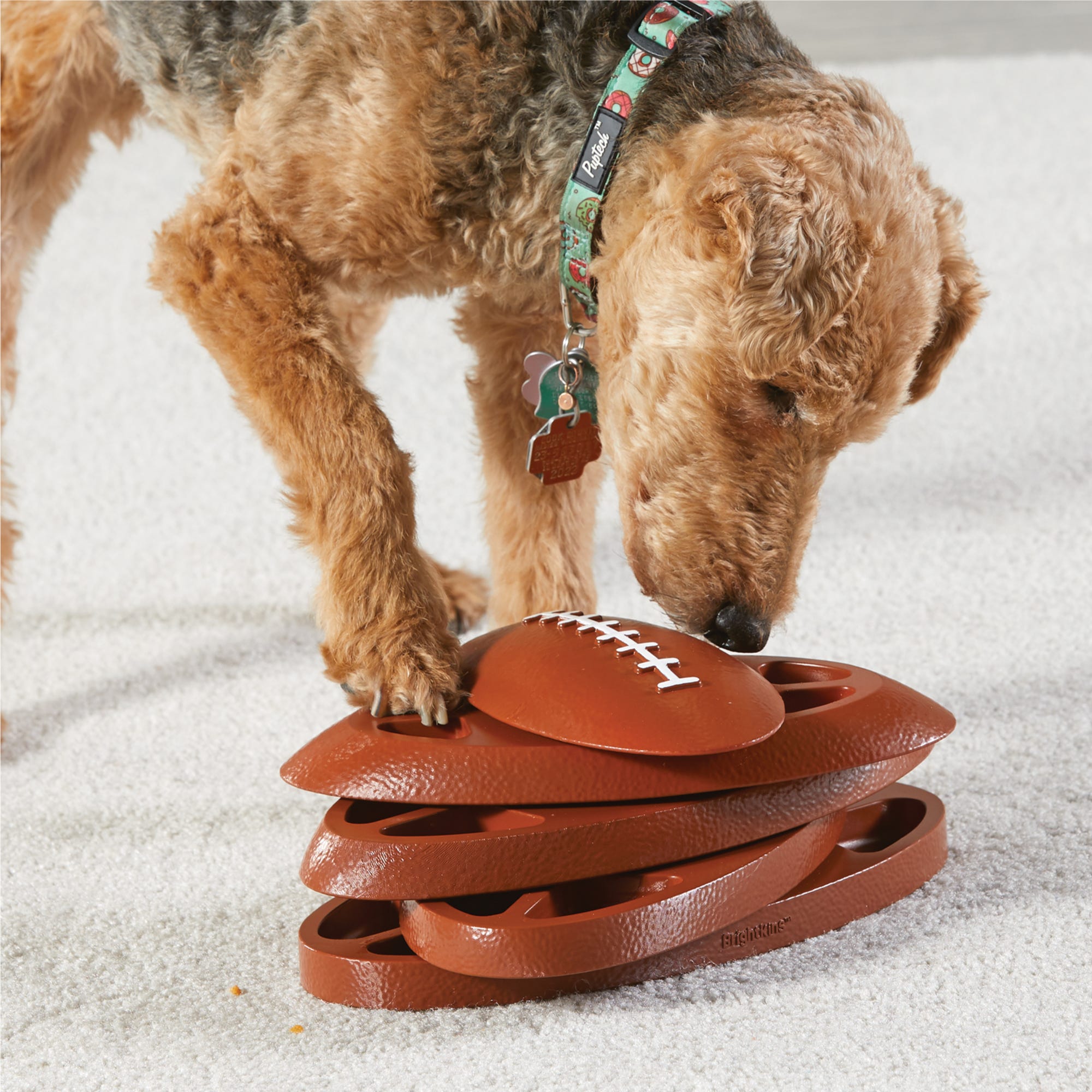 Juguete Rompecabezas para Perros Touchdown Time | Brightkins