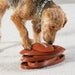 Juguete Rompecabezas para Perros Touchdown Time | Brightkins