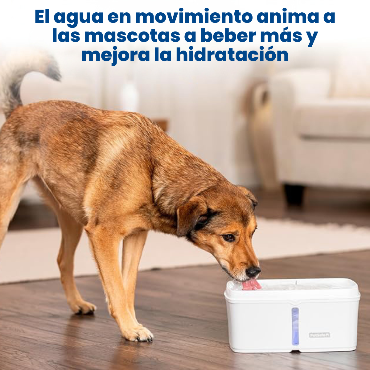 Fuente Automática Perros Fuente Agua Perros Exterior ZALBYUY - Activada Por Pata, Manguera Incluida Sistema Hidratación Perros Exterior Fuente Automática Perros Fuente Agua Perros Exterior ZALBYUY - Activada Por Pata, Manguera Incluida Sistema Hidratación Perros Exterior