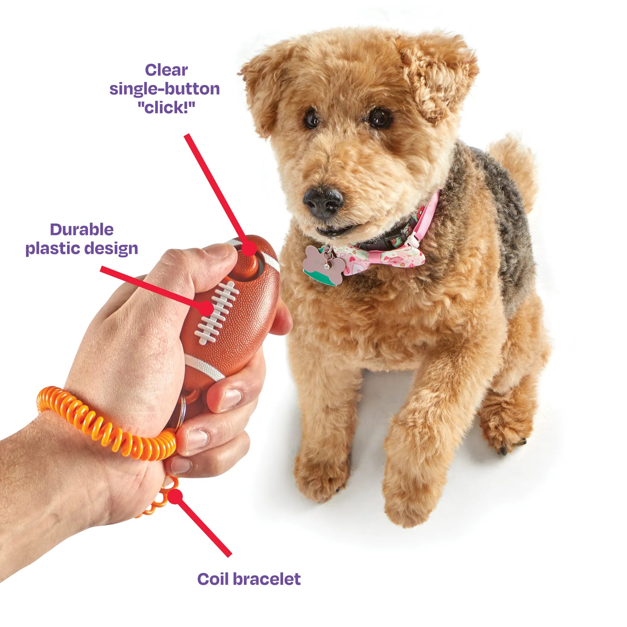 Clicker de Entrenamiento para Perros Smarty Pooch: Football | Brightkins