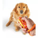 Clicker de Entrenamiento para Perros Smarty Pooch: Football | Brightkins
