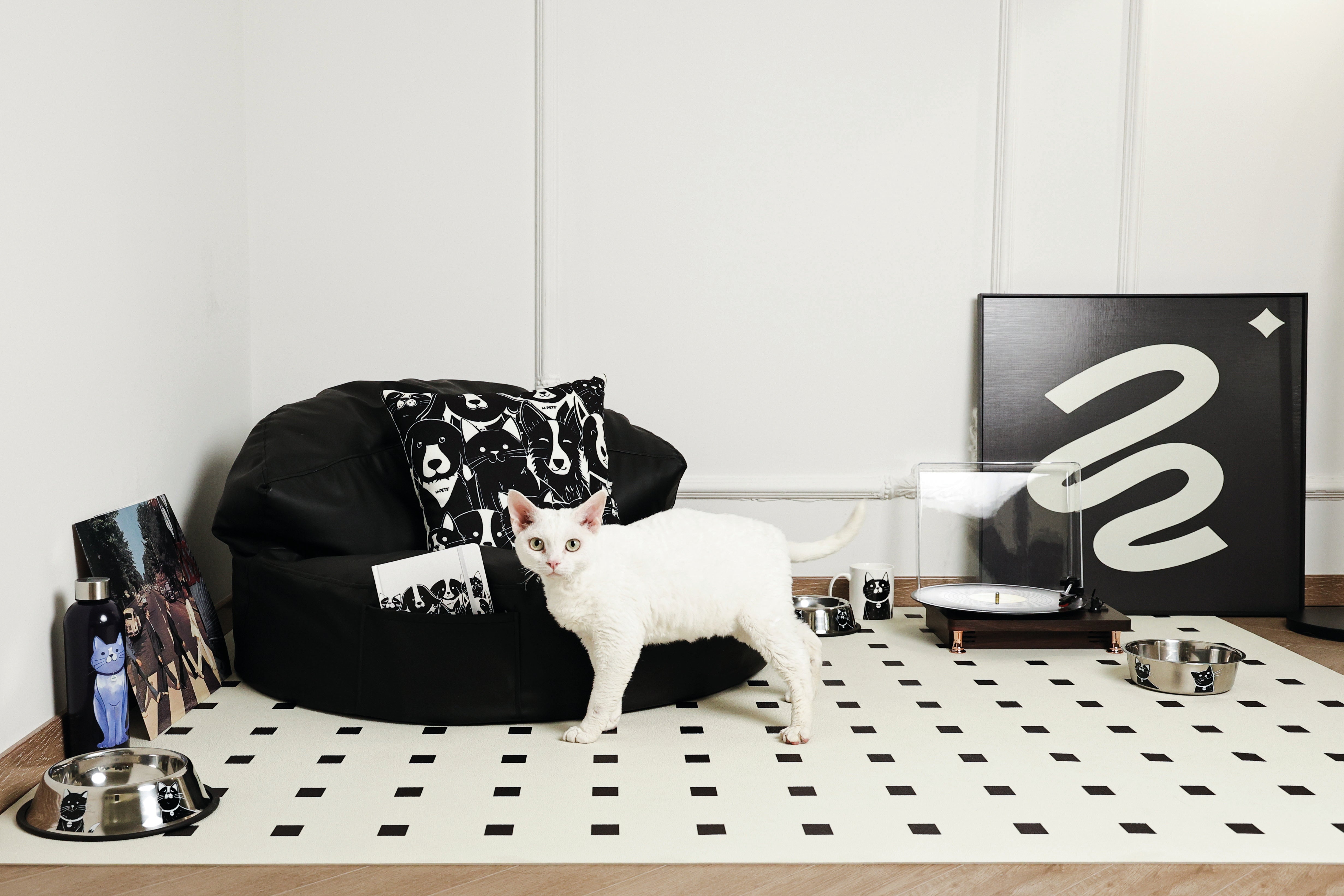 Bowl de Acero Inoxidable PETJOY CatFamily para Gatos | M‑PETS®