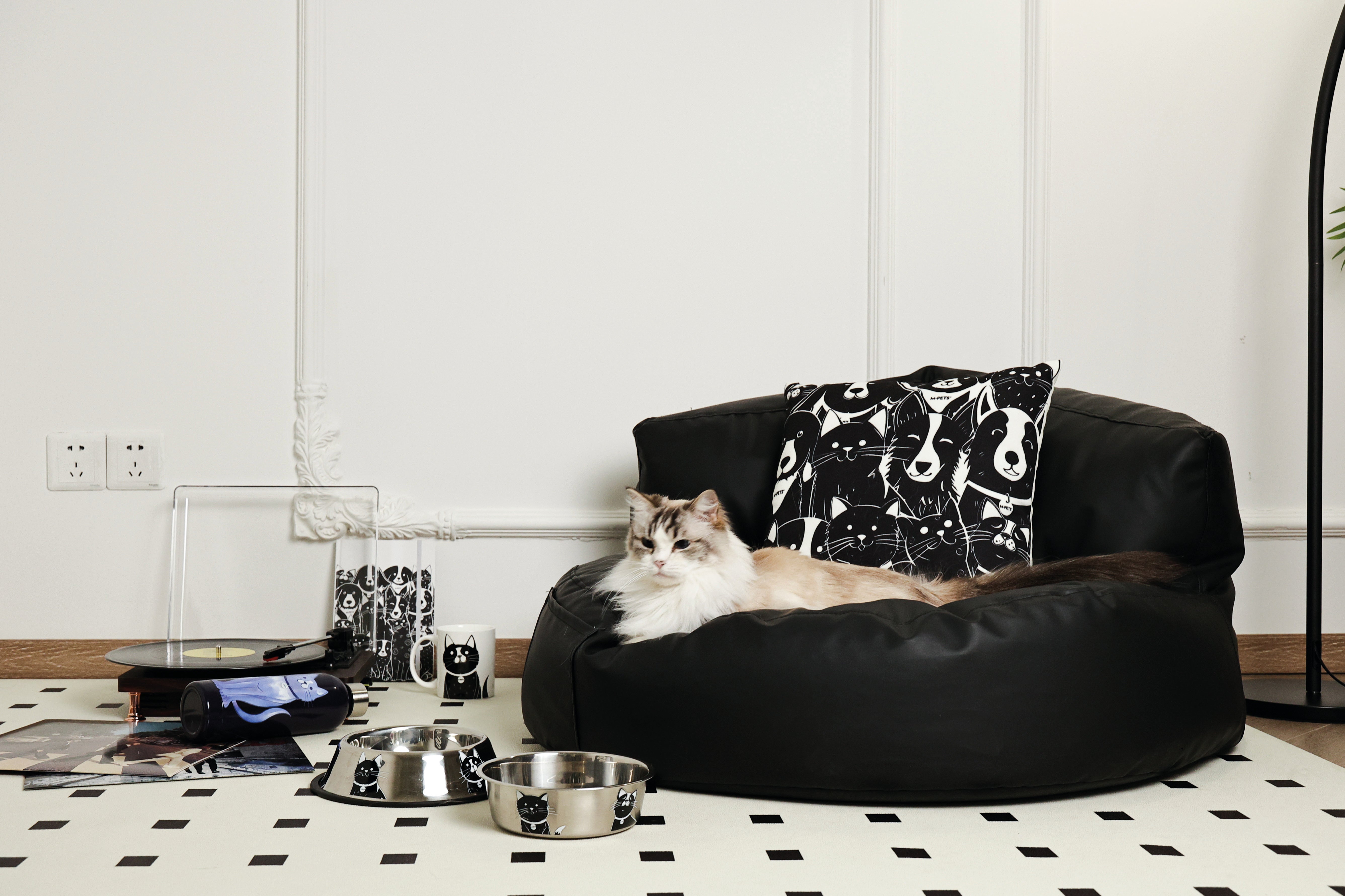 Bowl de Acero Inoxidable PETJOY CatFamily para Gatos | M‑PETS®