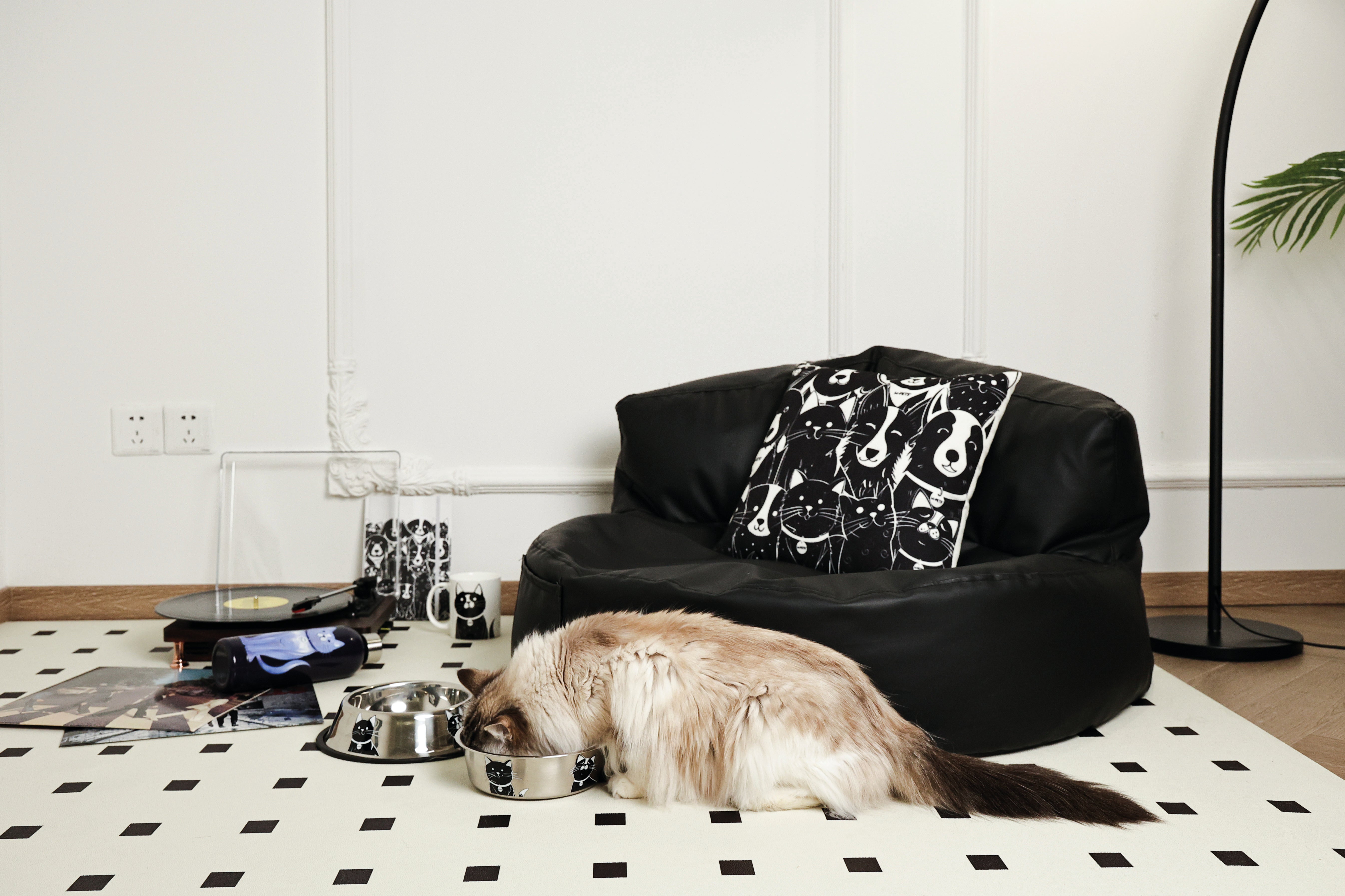 Bowl de Acero Inoxidable PETJOY CatFamily para Gatos | M‑PETS®
