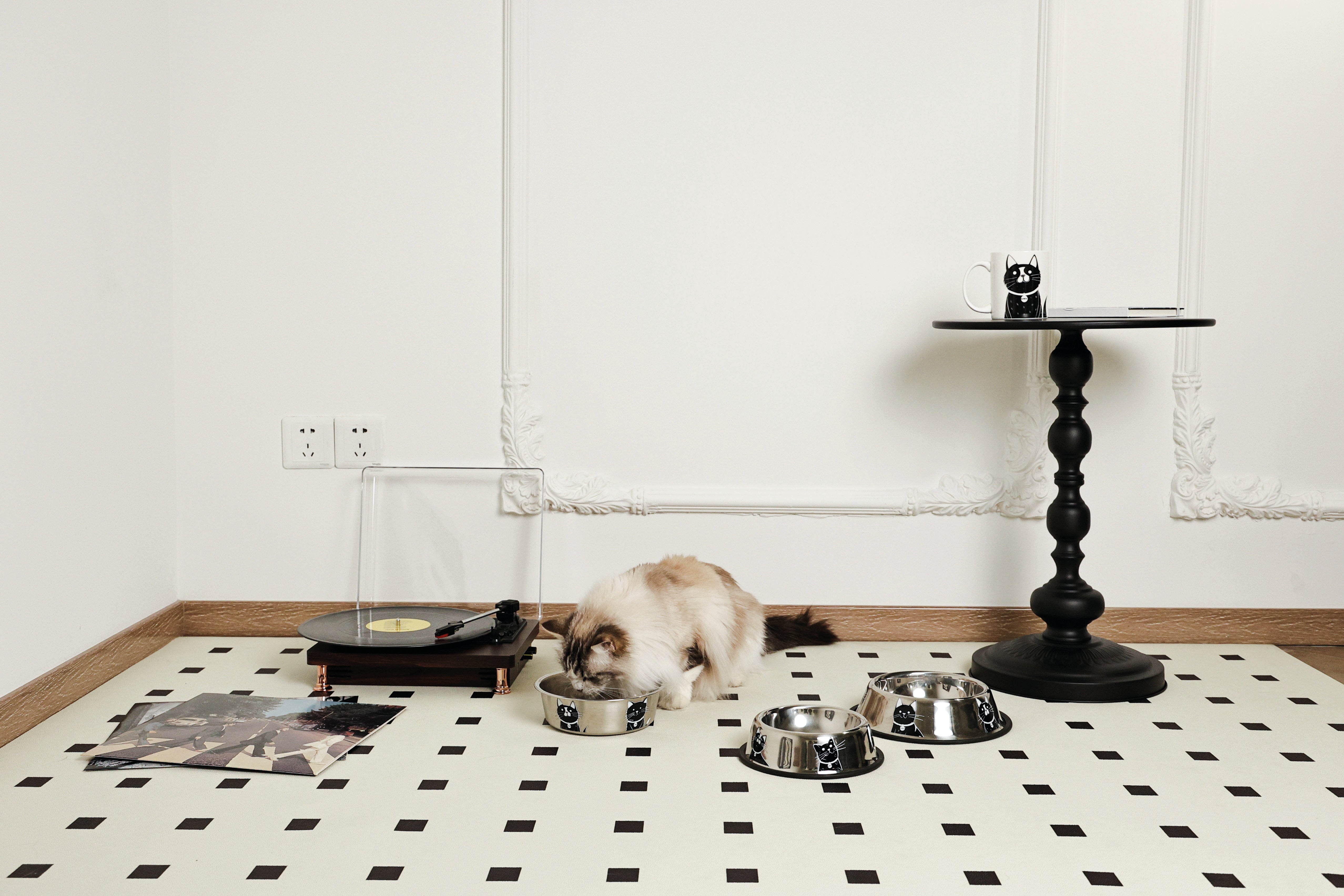 Bowl de Acero Inoxidable PETJOY CatFamily para Gatos | M‑PETS®