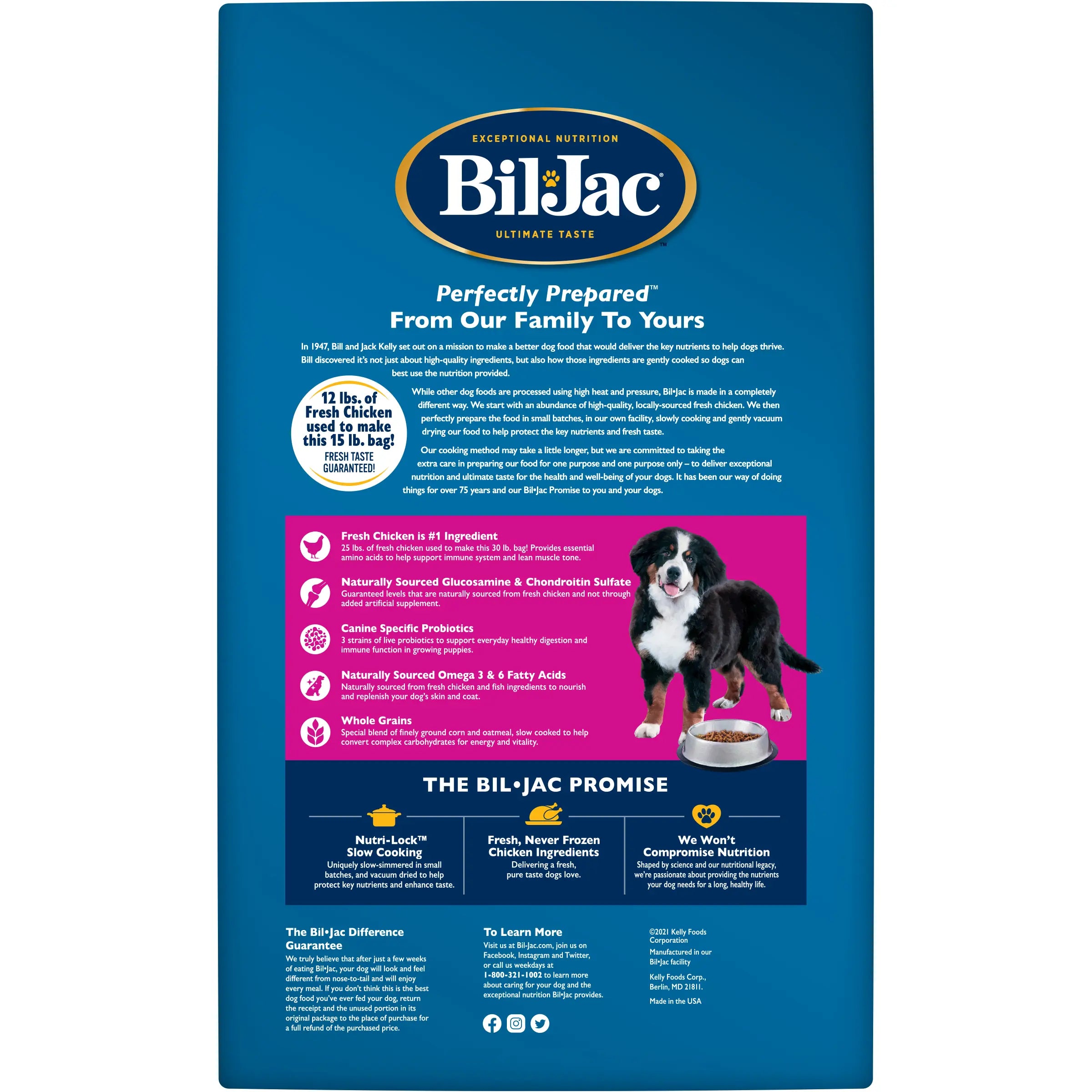 Alimento para Cachorros de Raza Grande - Pollo, Avena y Glucosamina | Bil-Jac