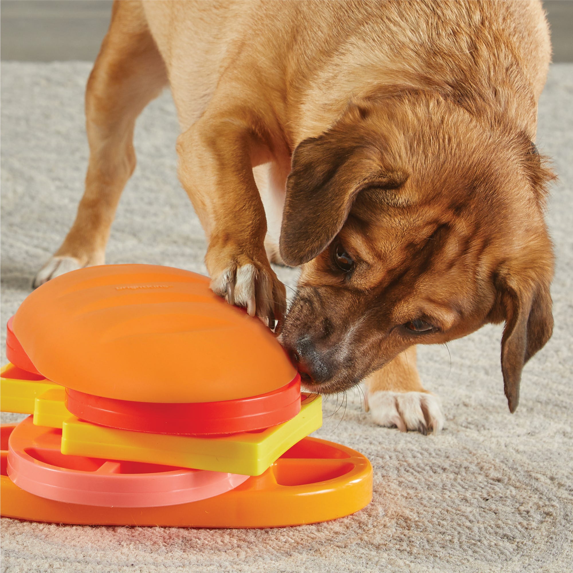Juguete Rompecabezas para Perros Pupstrami Surprise | Brightkins