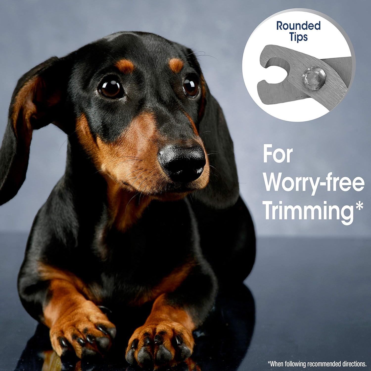 Cortauñas Profesional para Perros Pequeños y Gatos Magic Coat® Easy-Grip Nail Clipper | Corte Preciso y Seguro