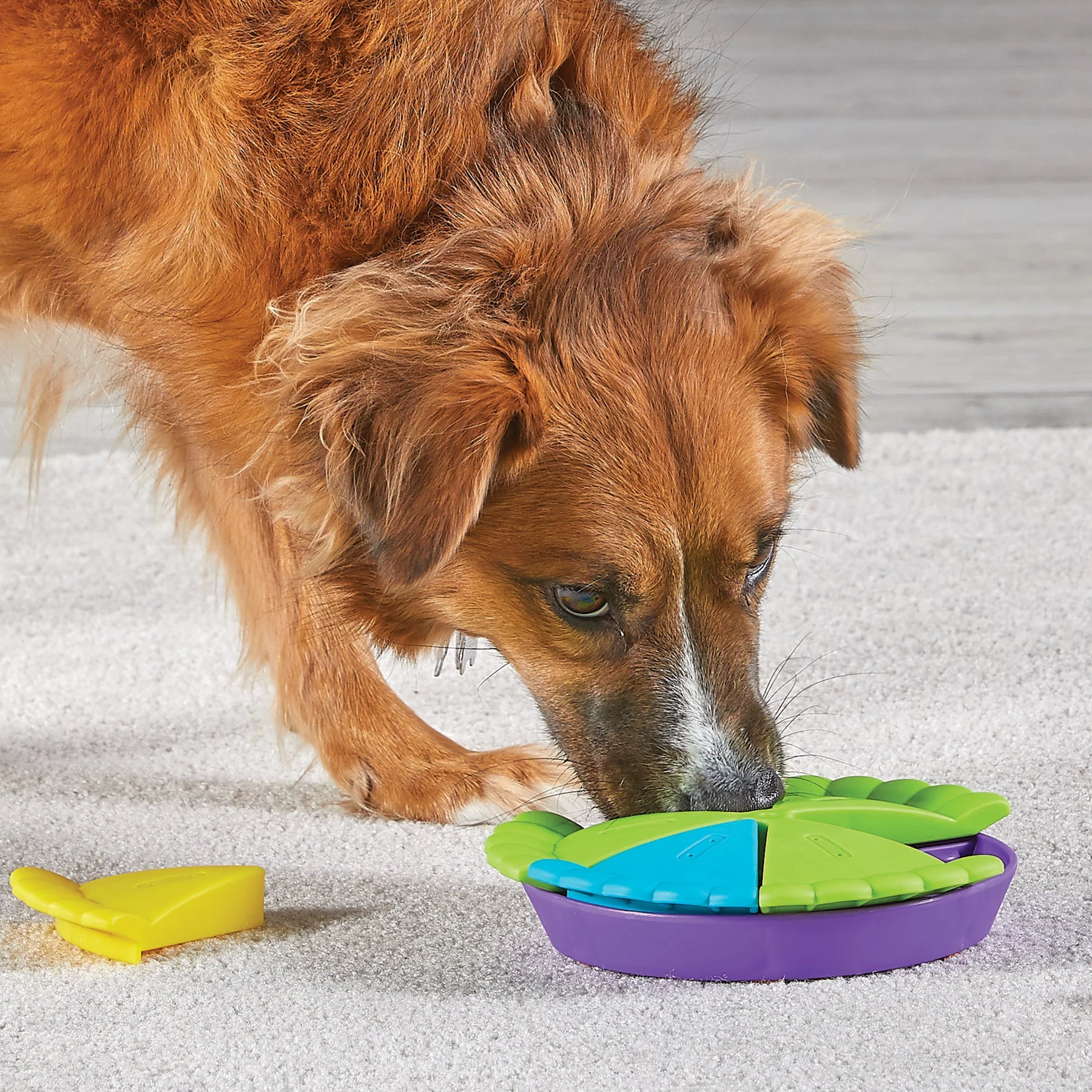 Comedero Puzzle Interactivo Para Perros Y Gatos Romicotas - Juguete Antiansiedad, Slow Feeder Con Base Antideslizante, Fácil De Limpiar