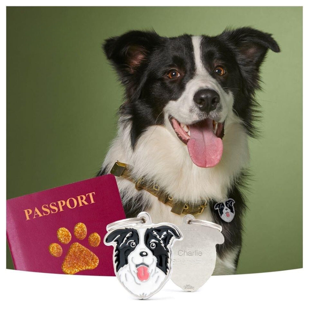 Placa ID en Forma de Border Collie para Perros